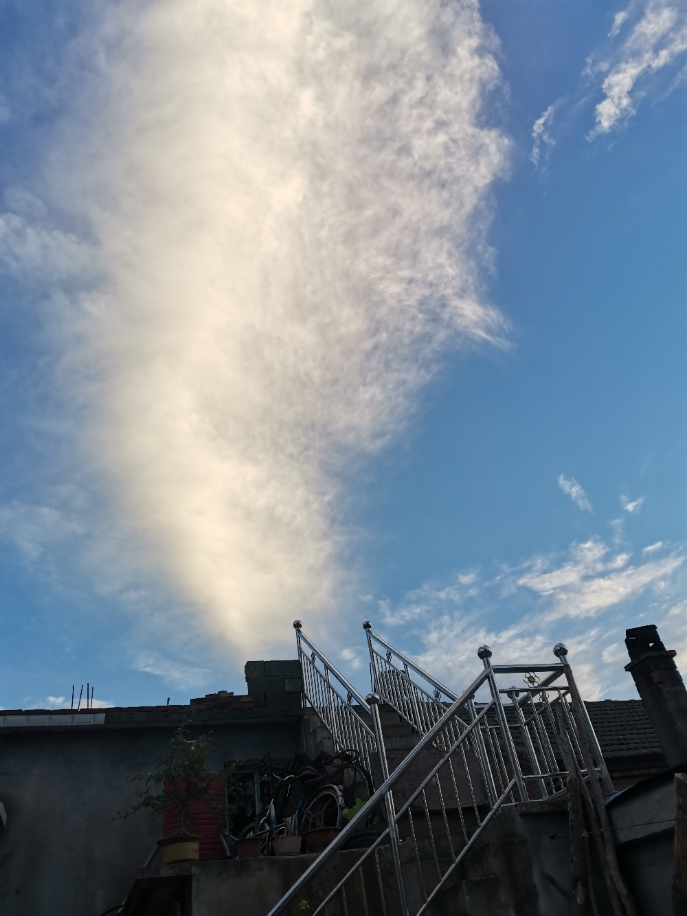 IMG_20210528_185651.jpg