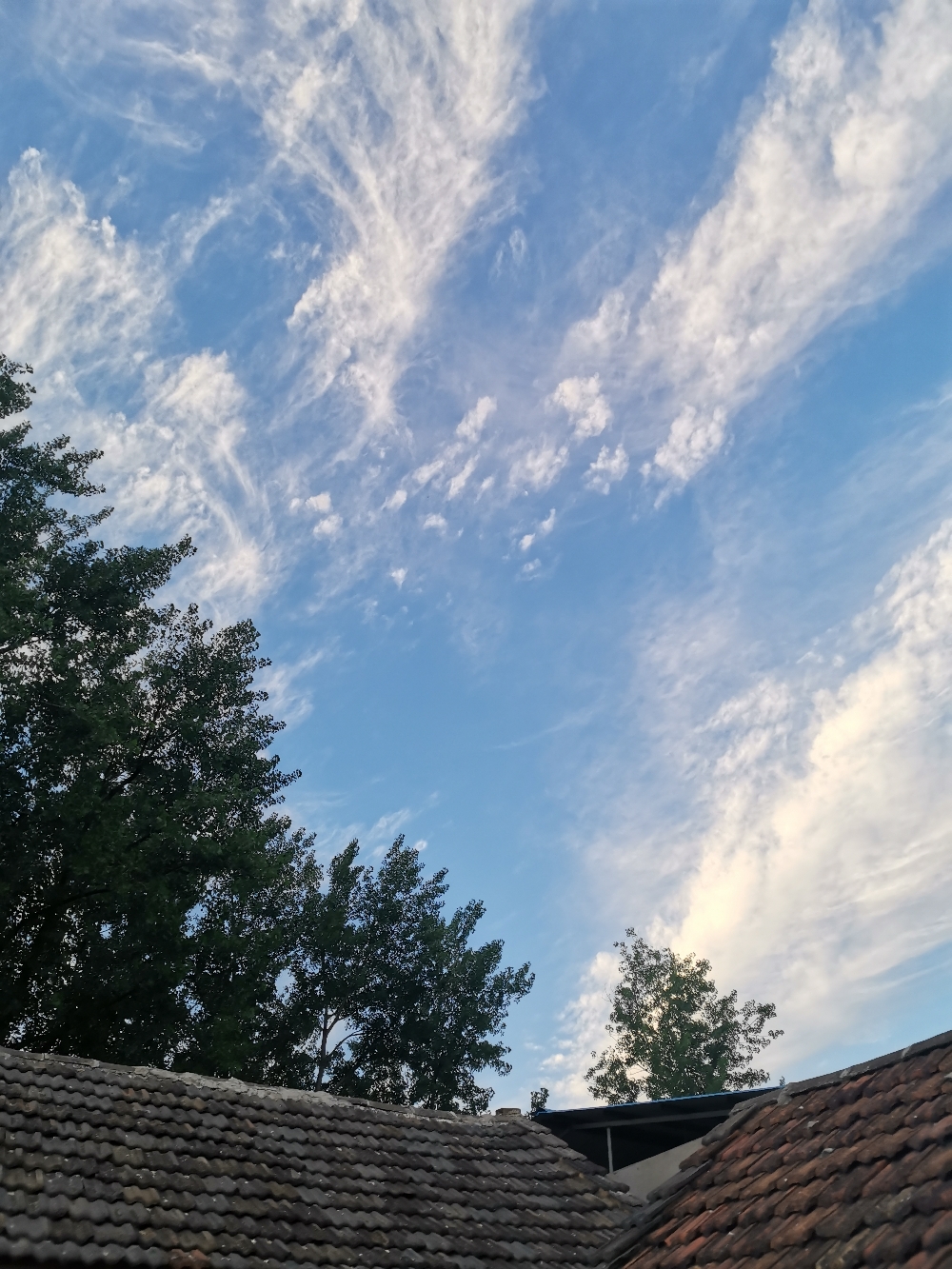 IMG_20210528_185724.jpg