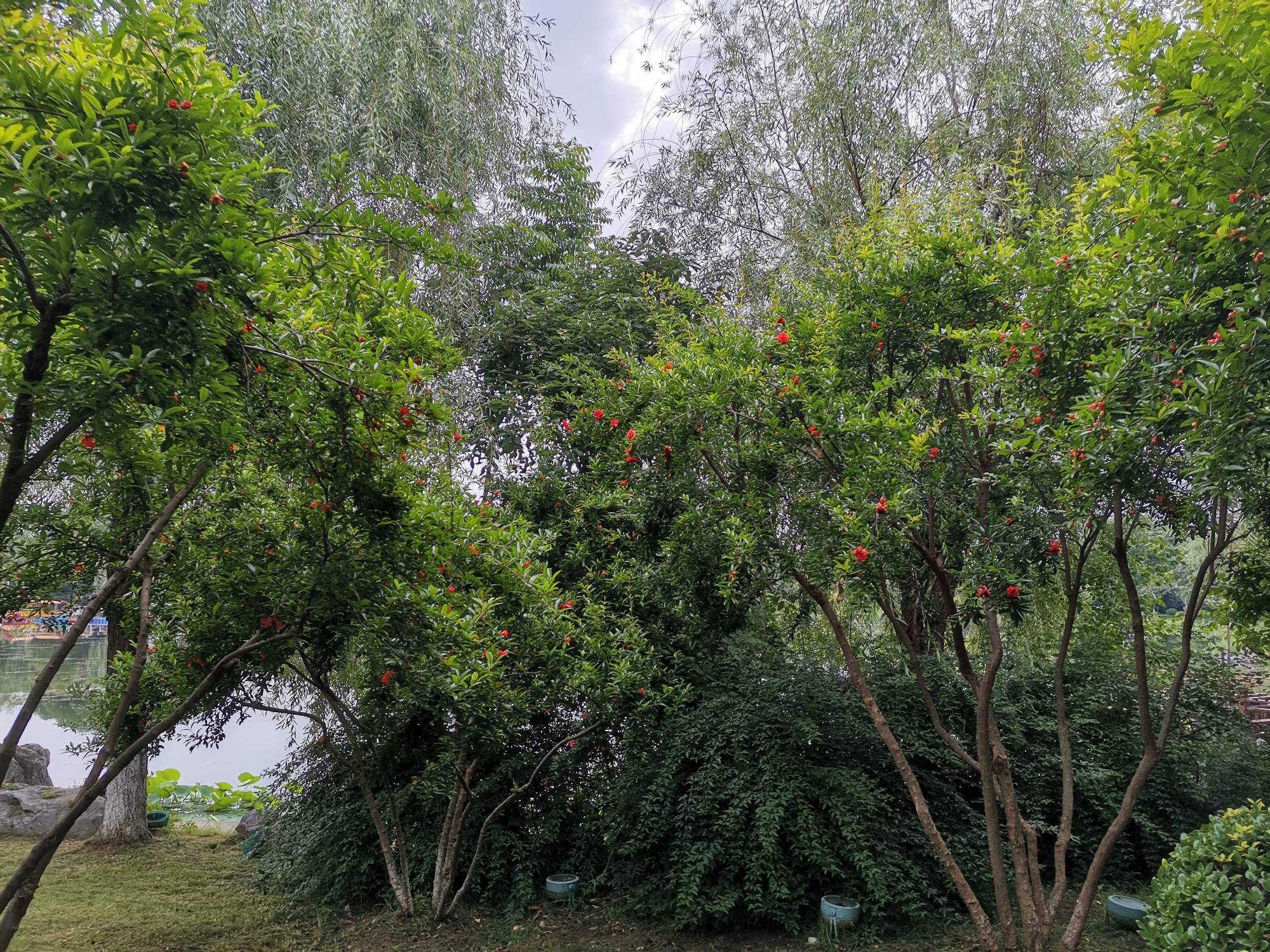 IMG_20210527_174537.jpg