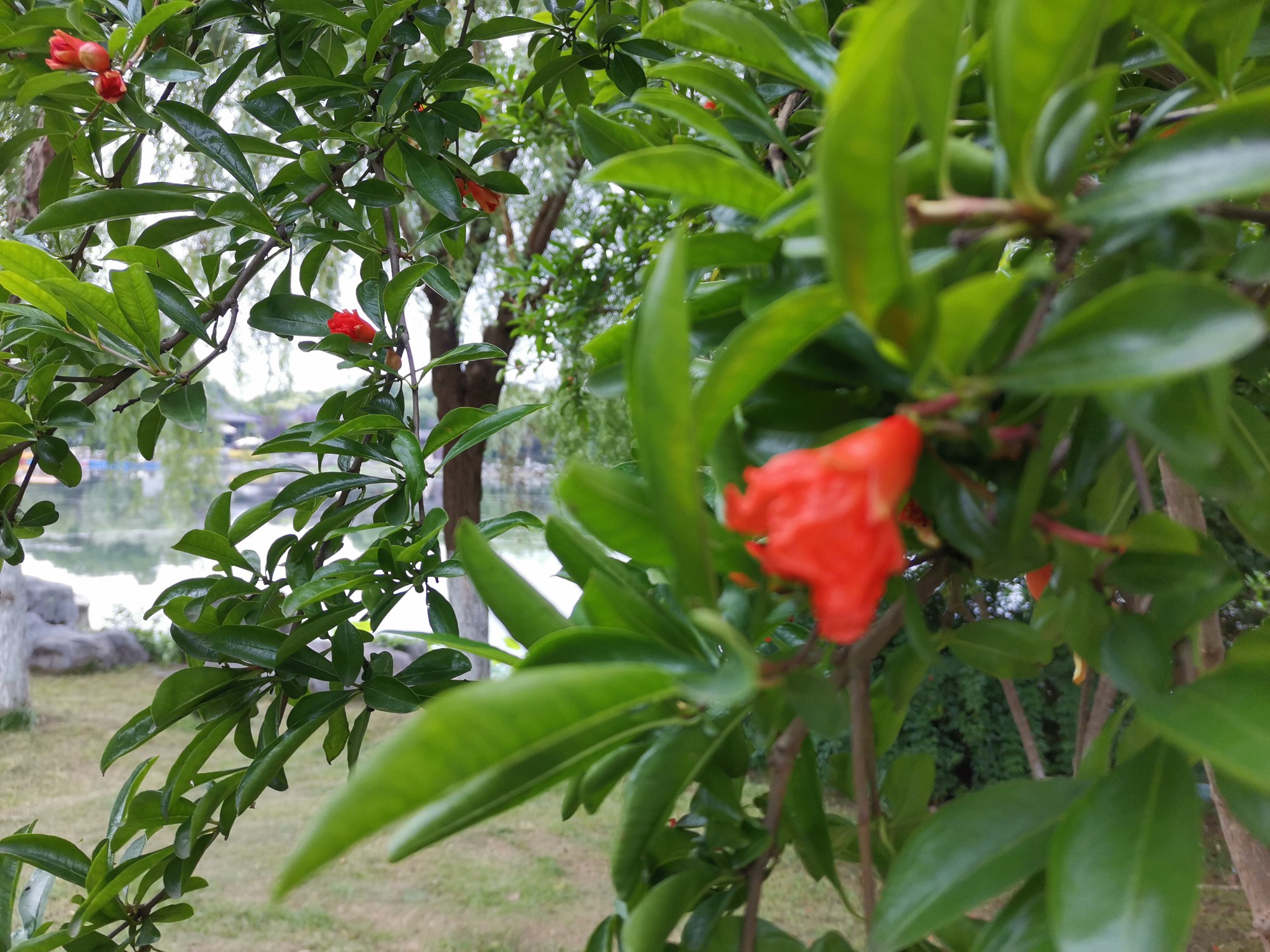 IMG_20210527_174122.jpg