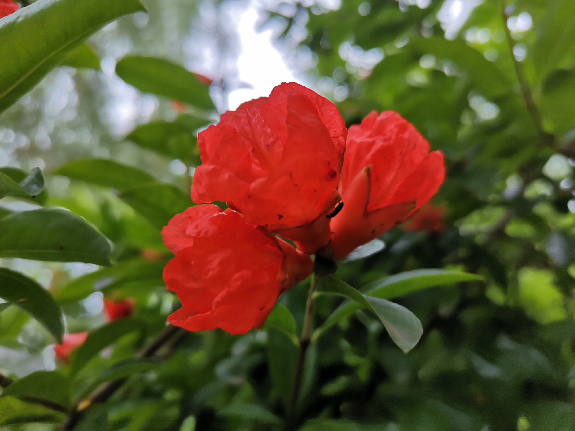 IMG_20210527_173738.jpg