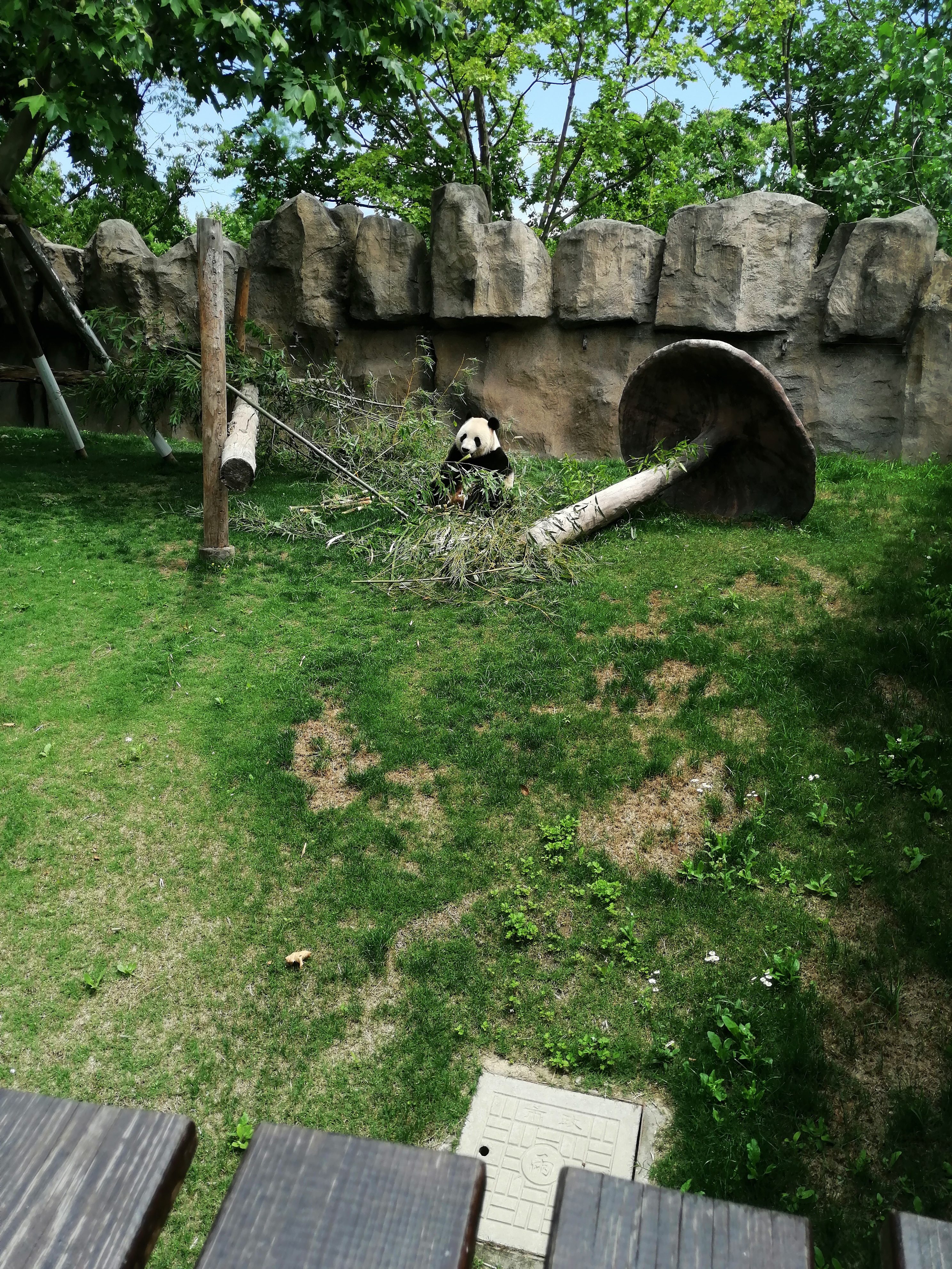 IMG_20210522_103338.jpg
