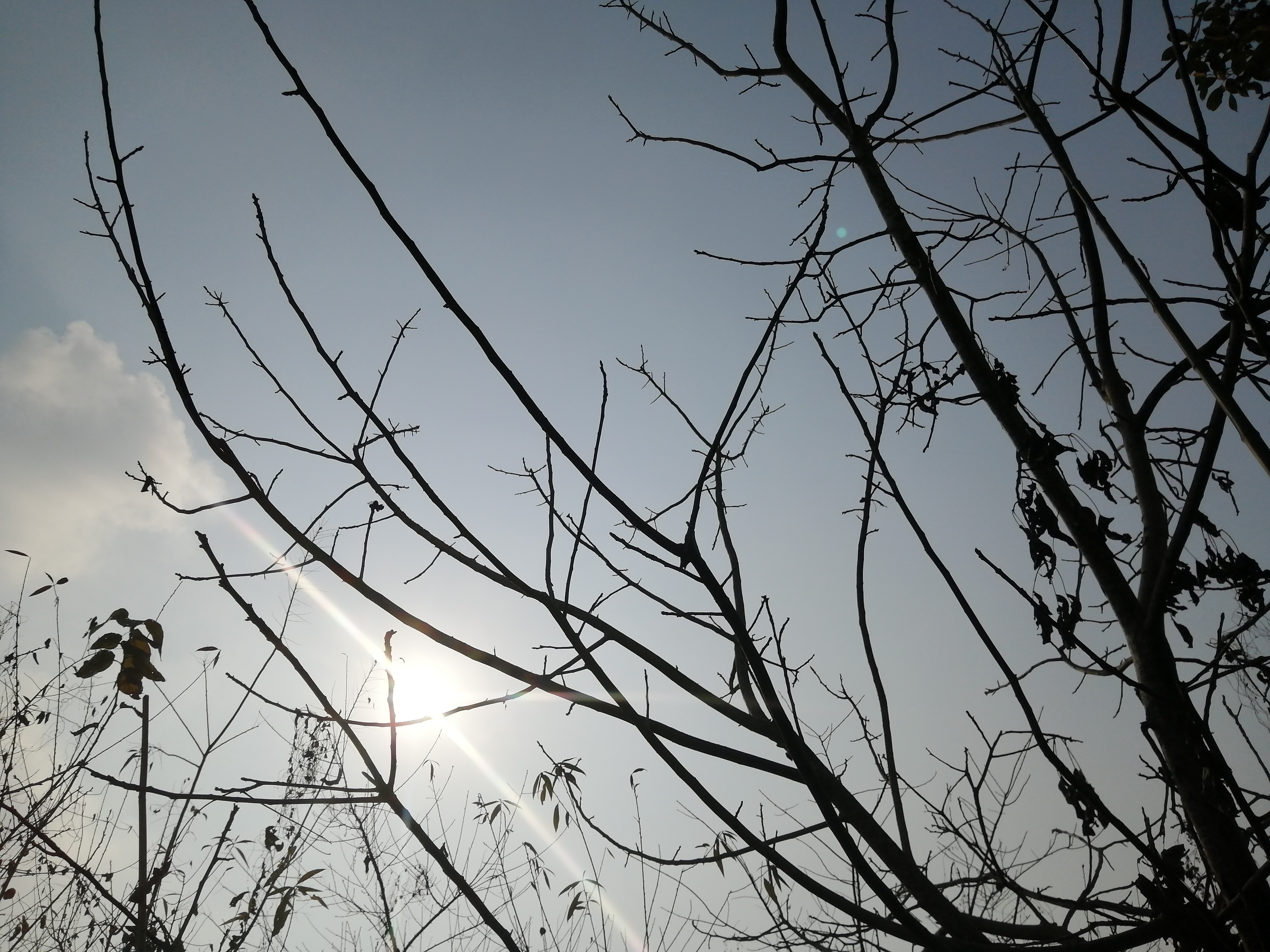 IMG_20210101_115805.jpg