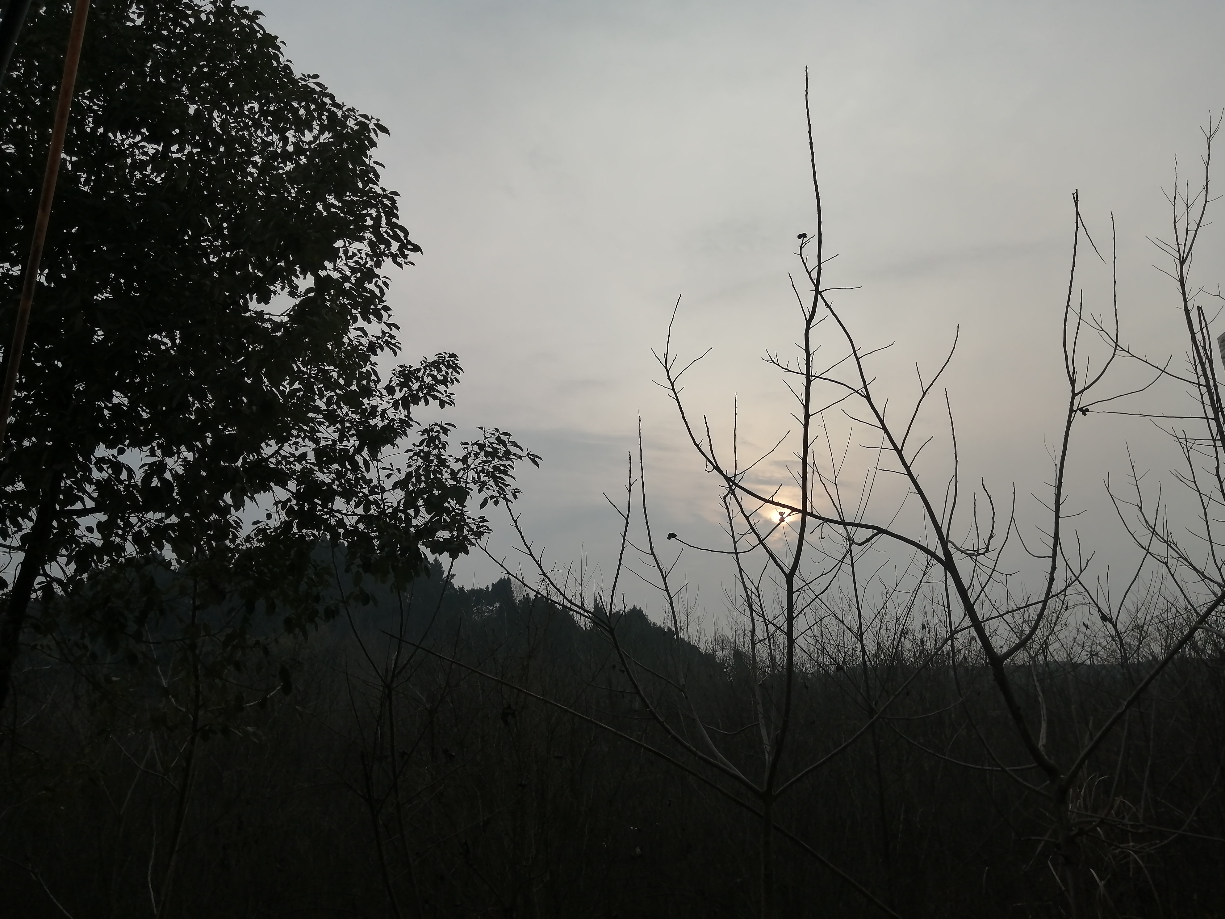 IMG_20210211_174504.jpg