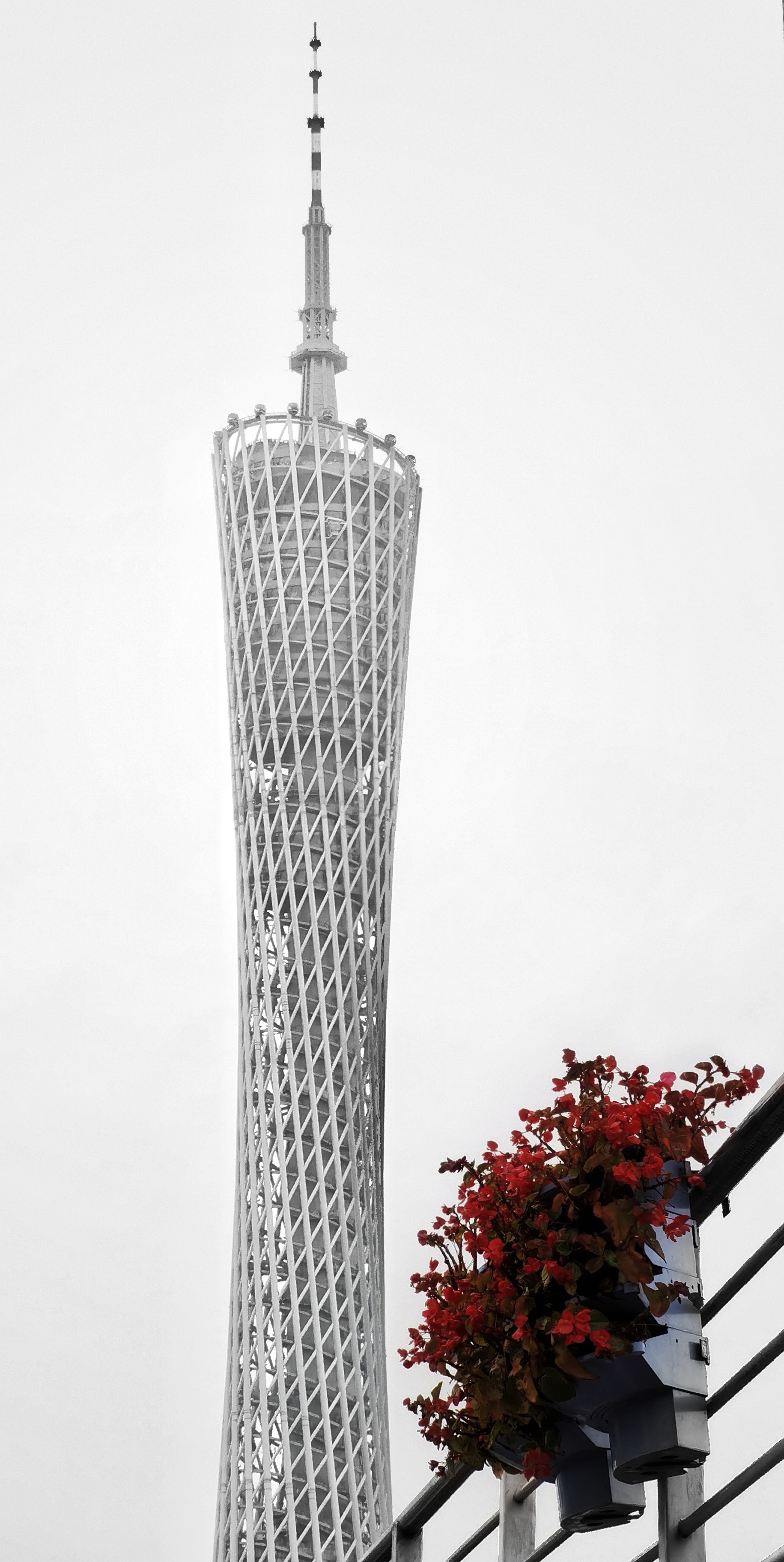IMG_20210503_172622_edit_74716618219848-01.jpeg