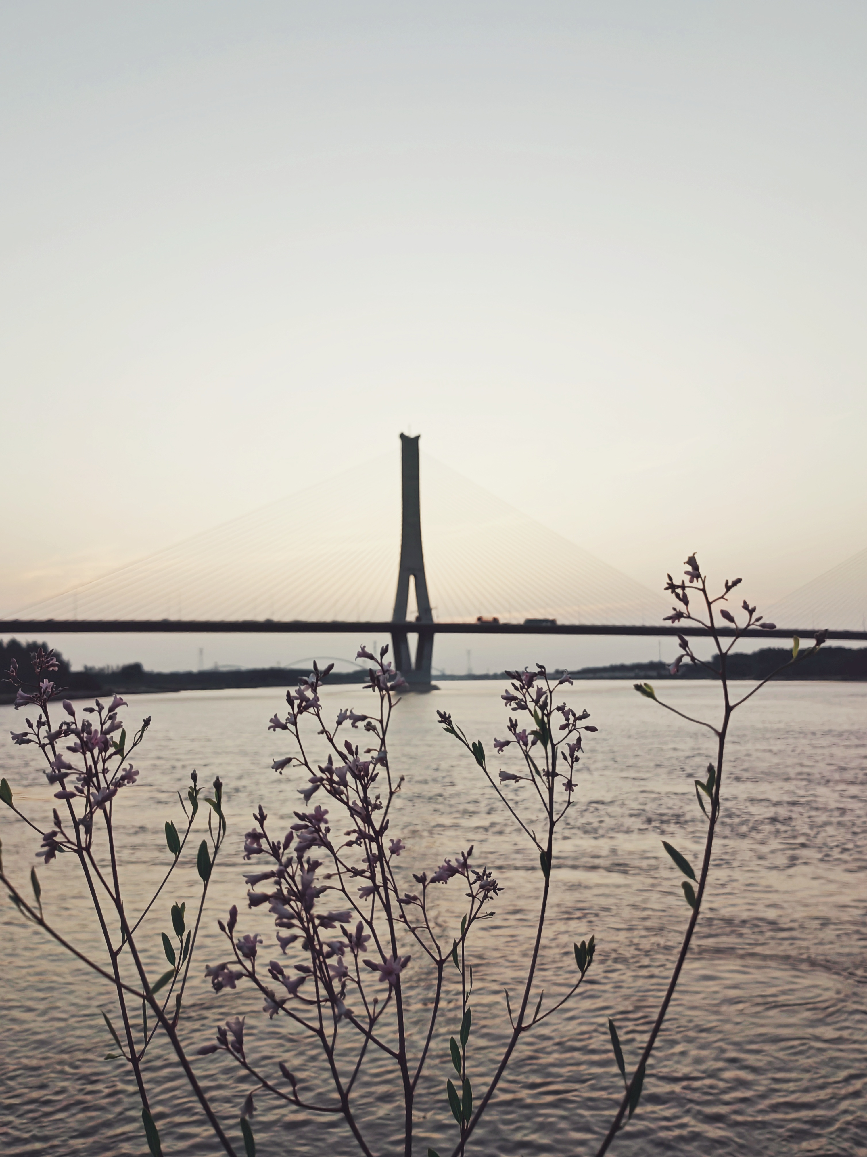 IMG_20210529_191753-01.jpeg