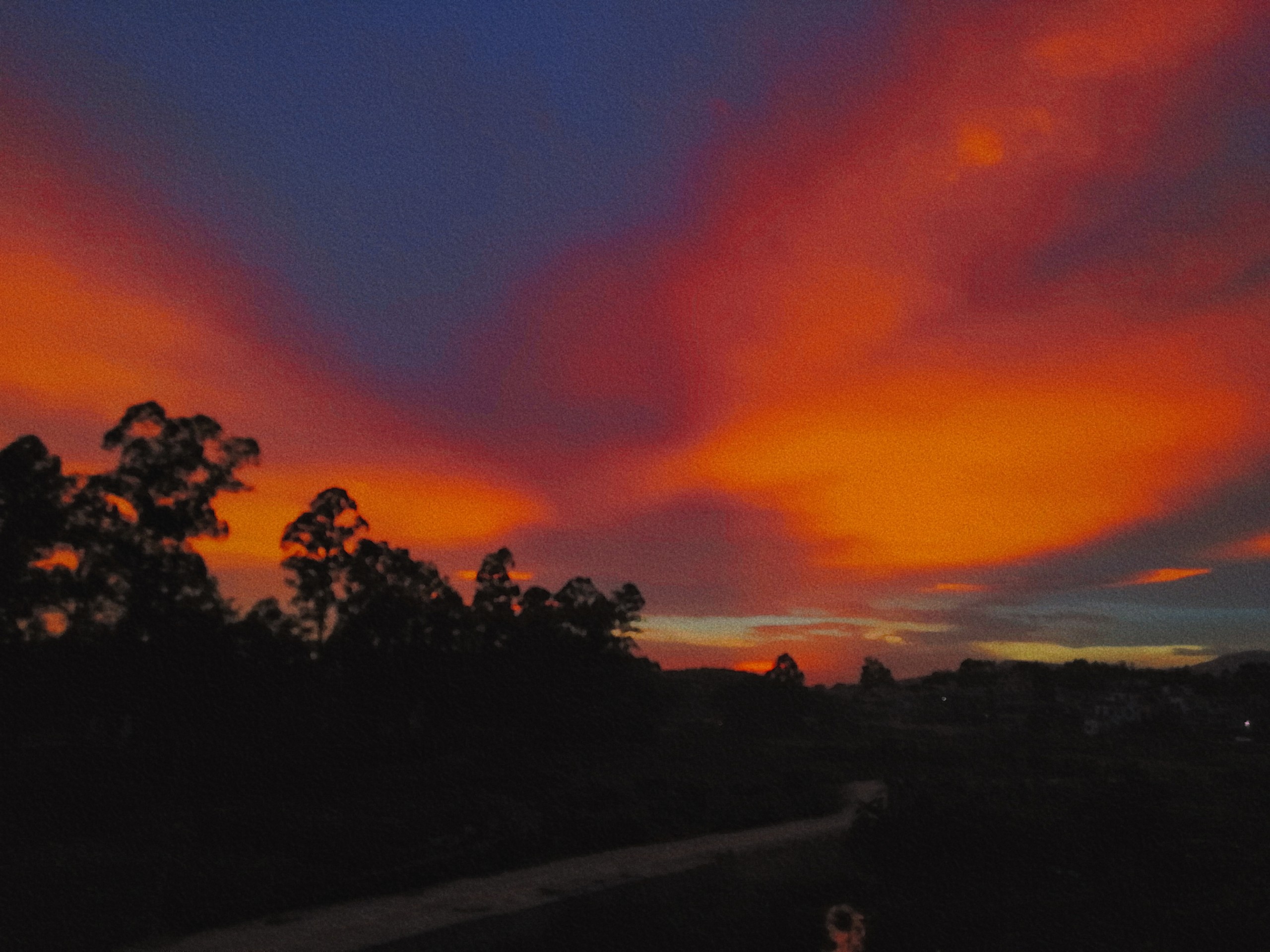 retouch_20210529192828.jpg