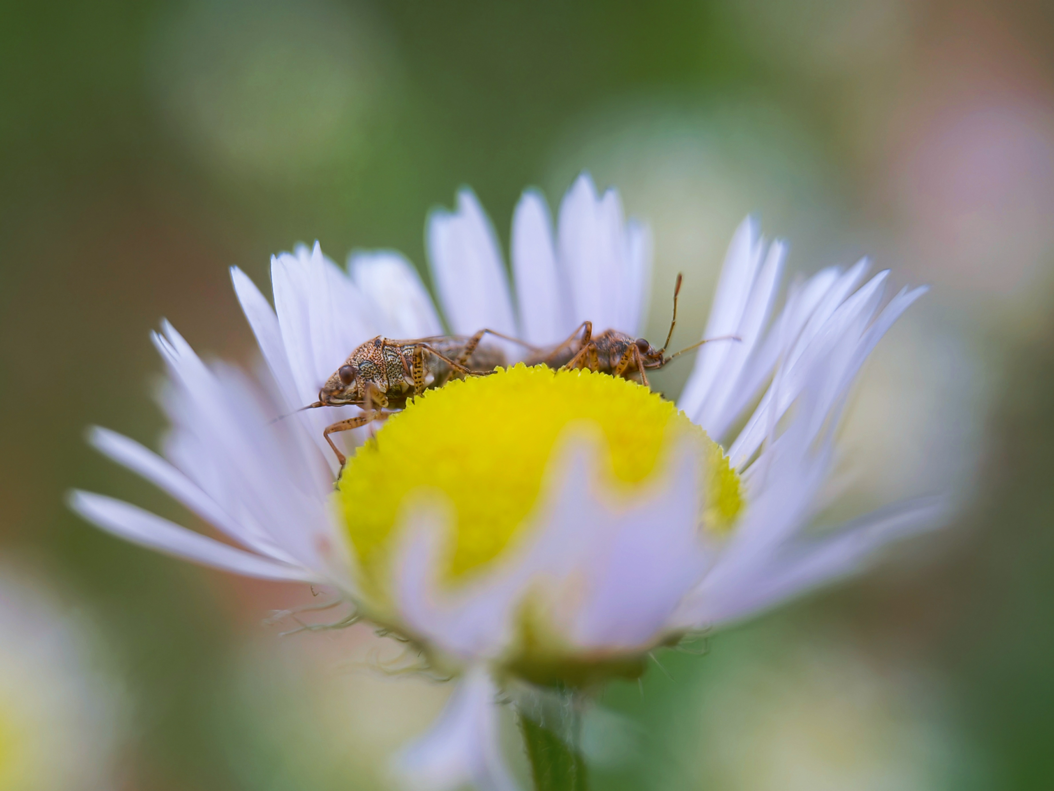 IMG_20210528_092413_polarr.jpg