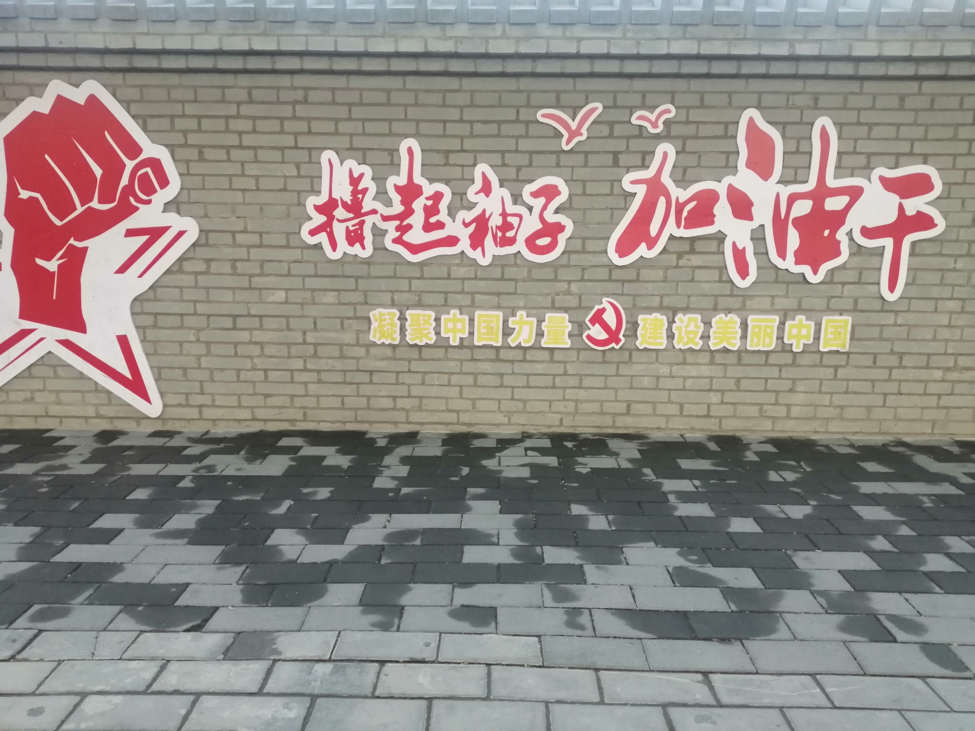 IMG_20210522_201253.jpg