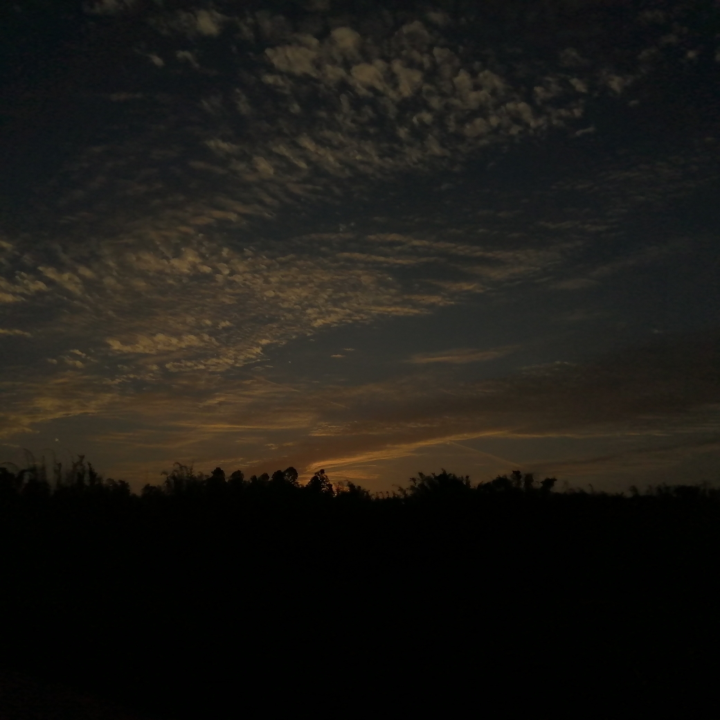 IMG_20210430_185620.jpg