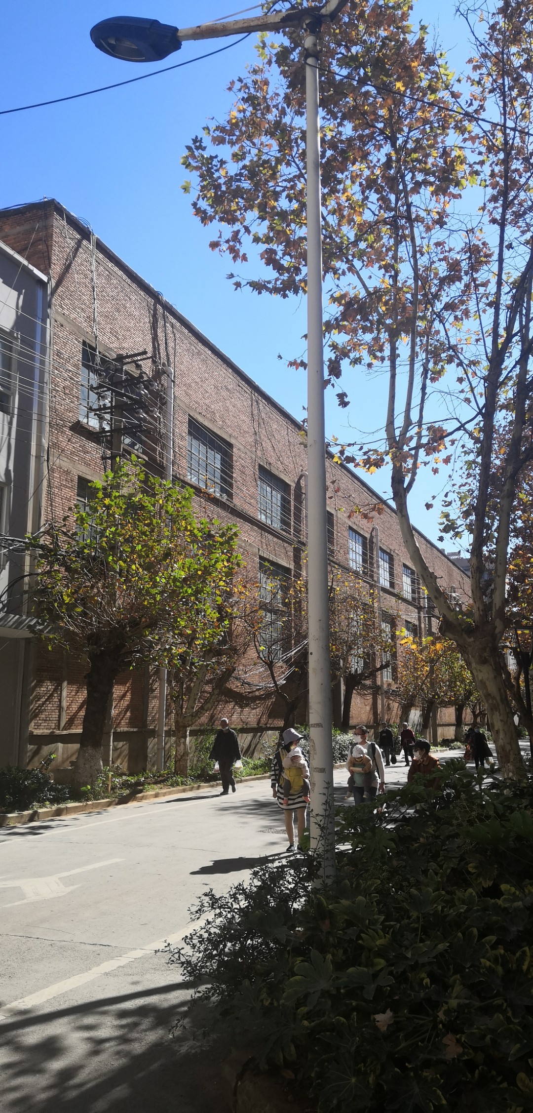 IMG_20201119_110540.jpg