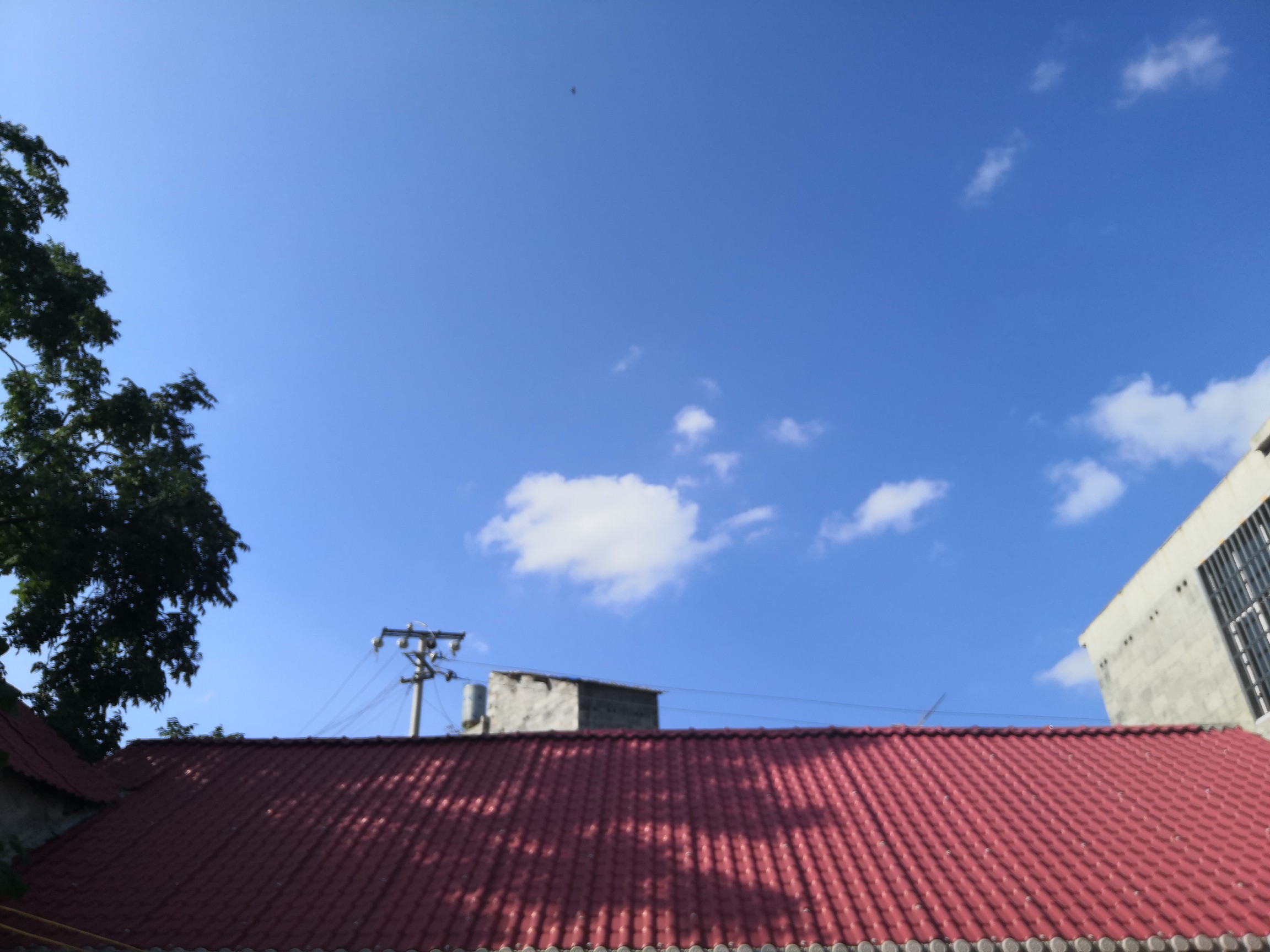 2020_08_14_17_14_50_0.jpg