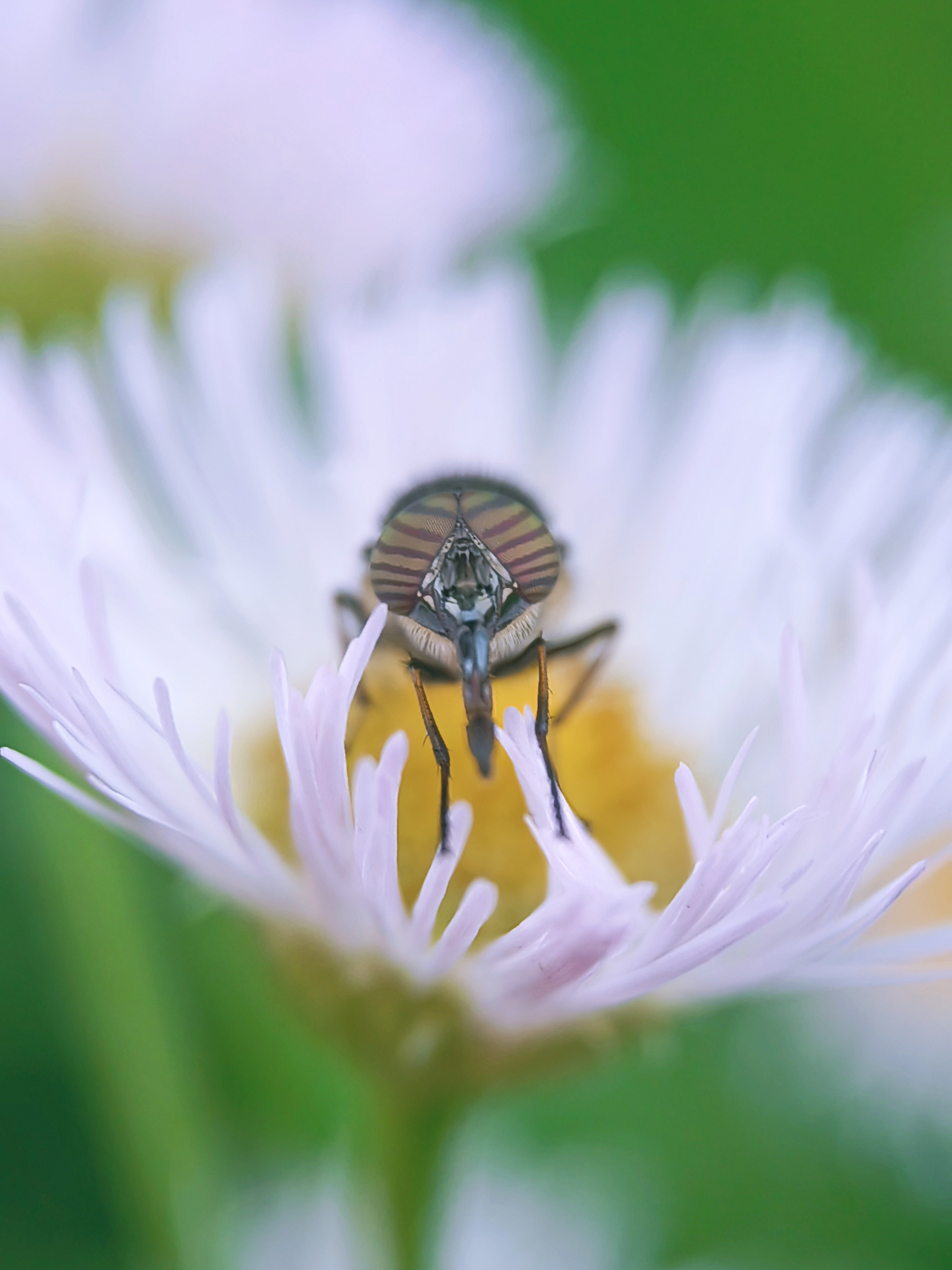 IMG_20210425_084618_polarr.jpg