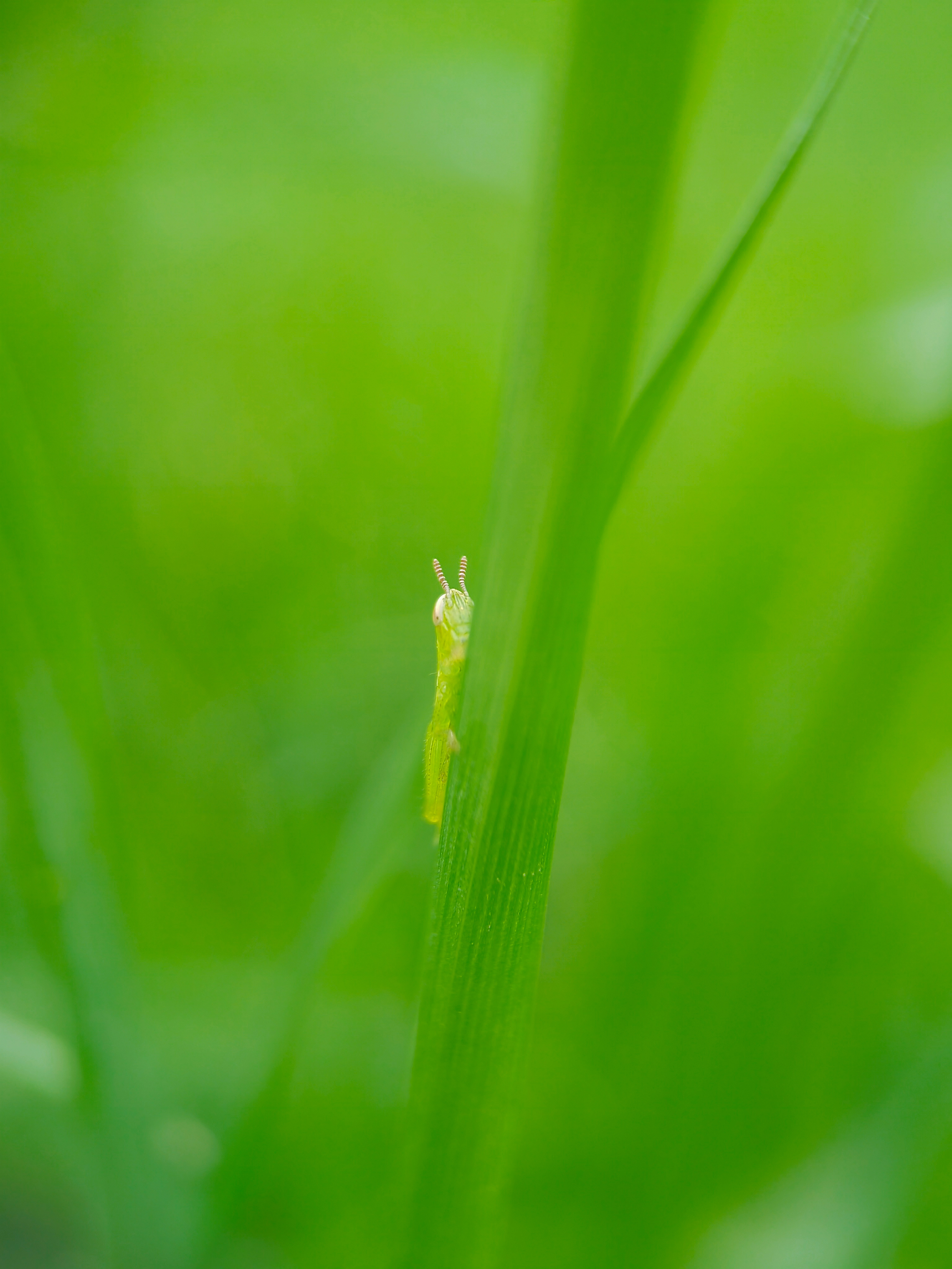 IMG_20210423_090056_polarr.jpg