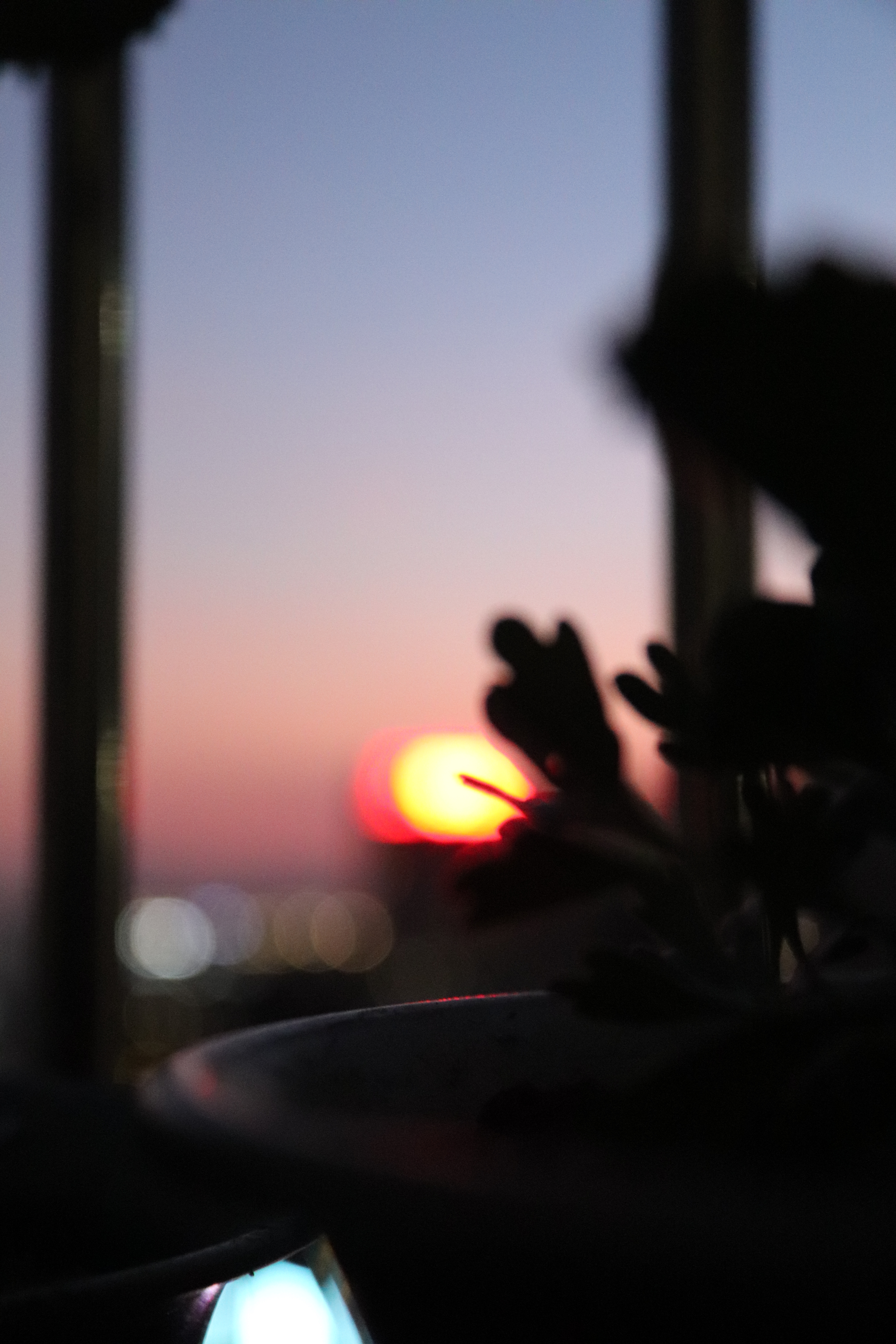IMG_1068.JPG