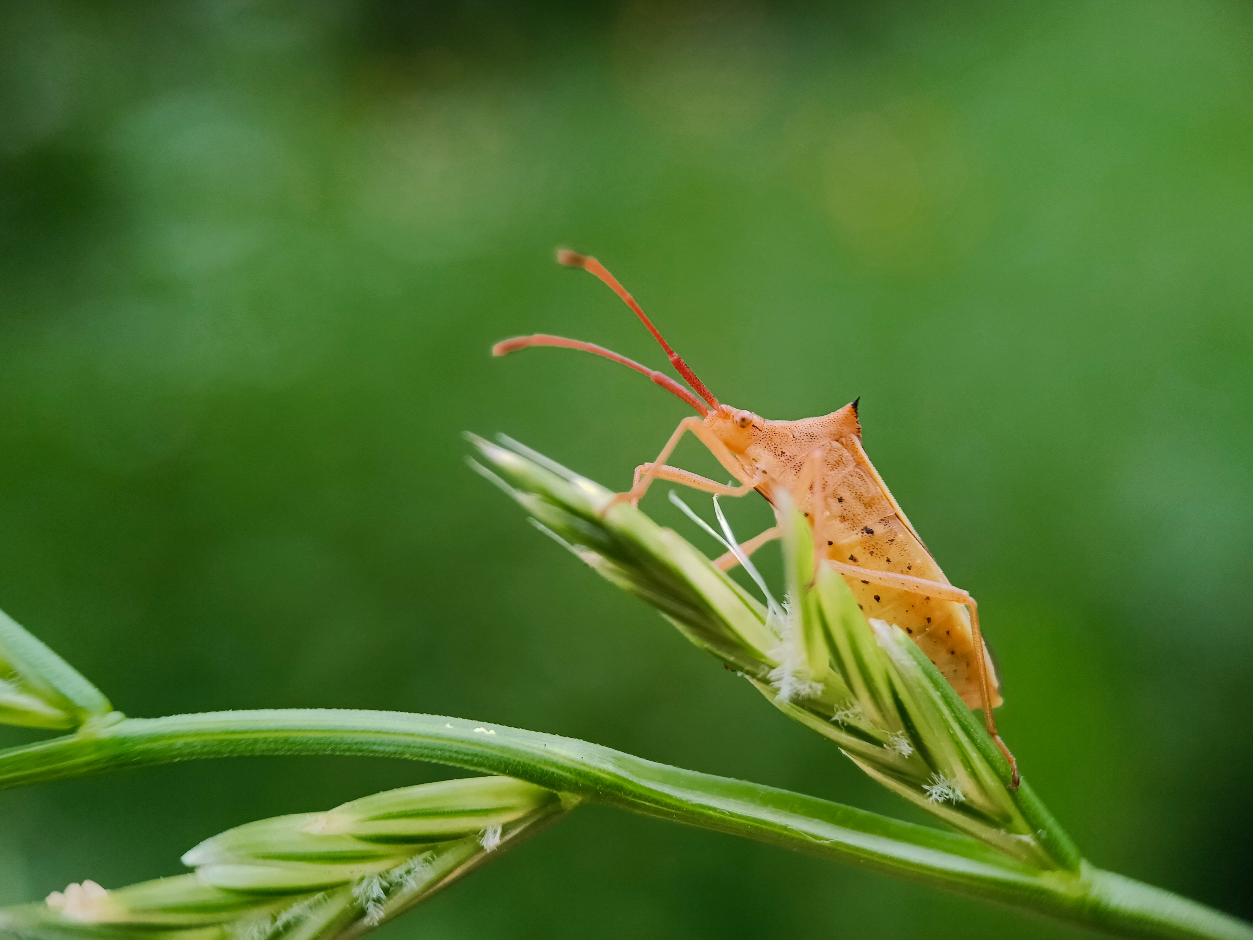 IMG_20210526_090937_polarr.jpg