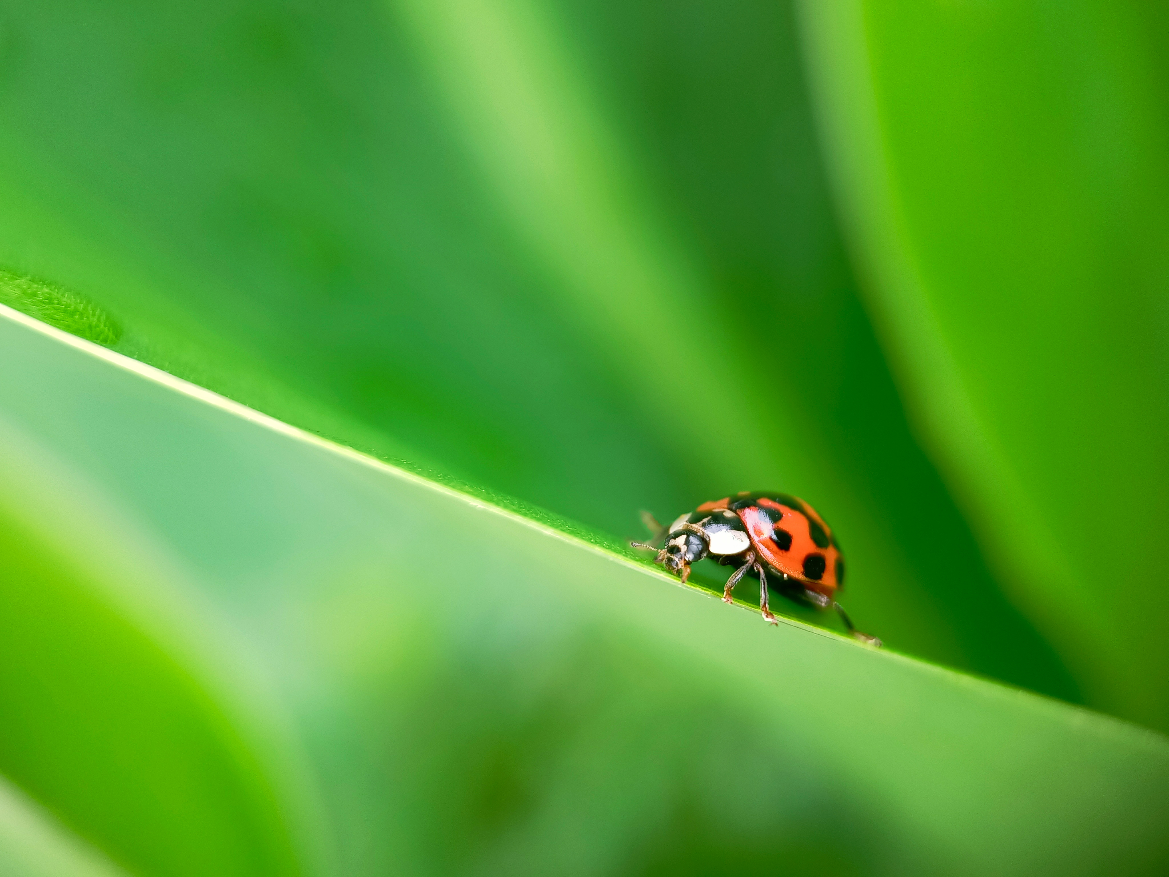 IMG_20210425_082051_polarr.jpg