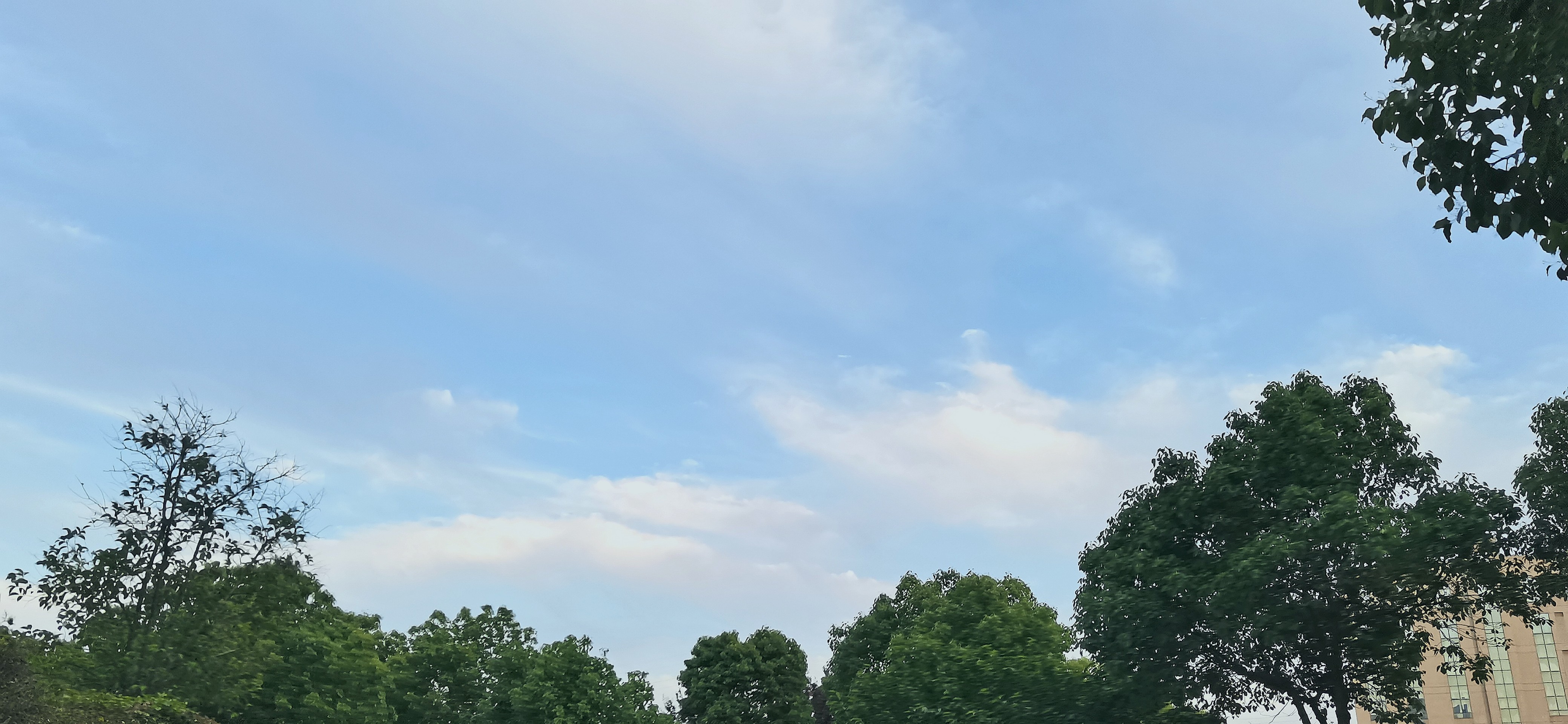 IMG_20210530_211831.jpg