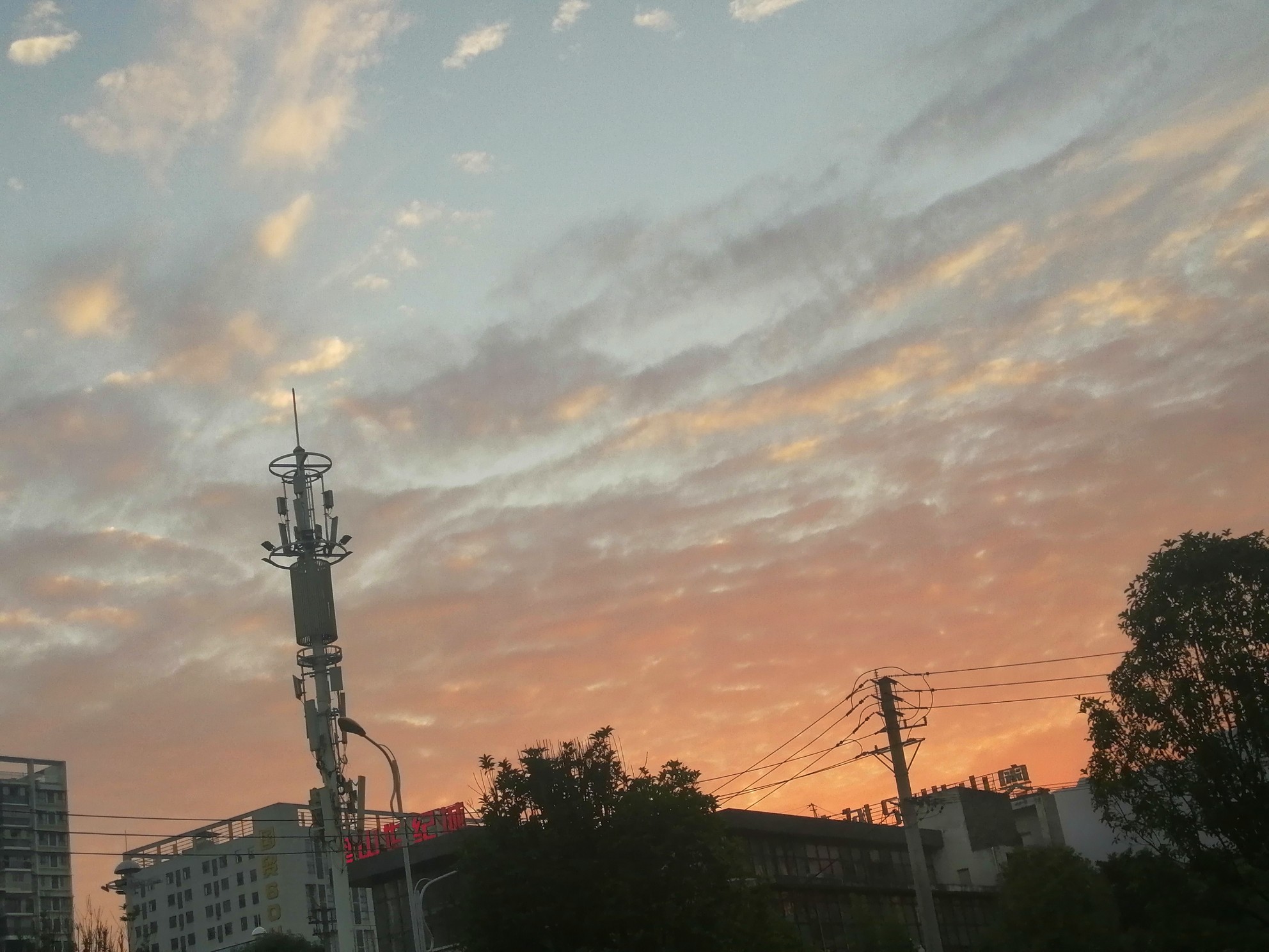 IMG_20210531_193302.jpg
