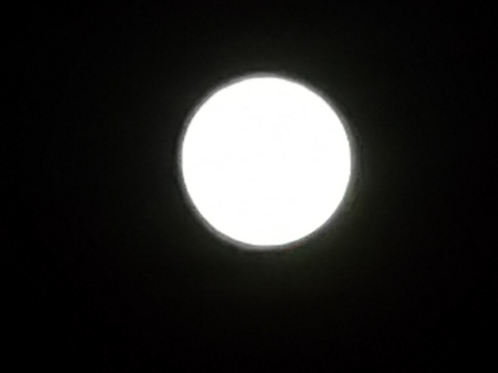 IMG_20201002_194405.jpg