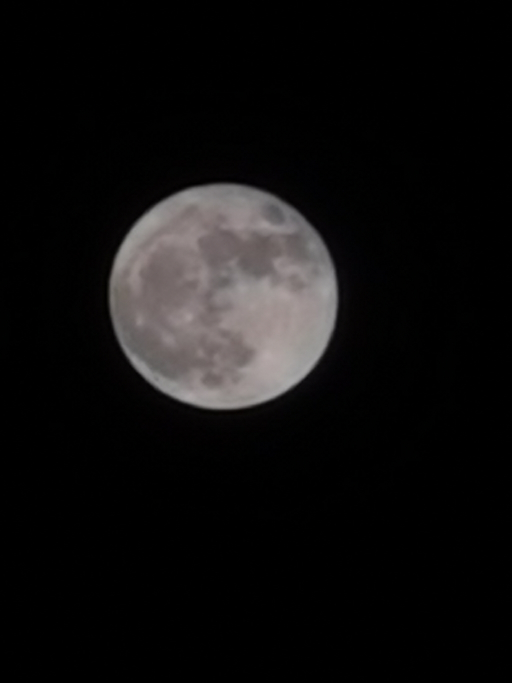 IMG_20201002_194617.jpg