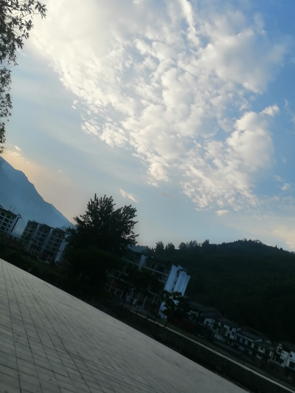 IMG_20210514_185827.jpg