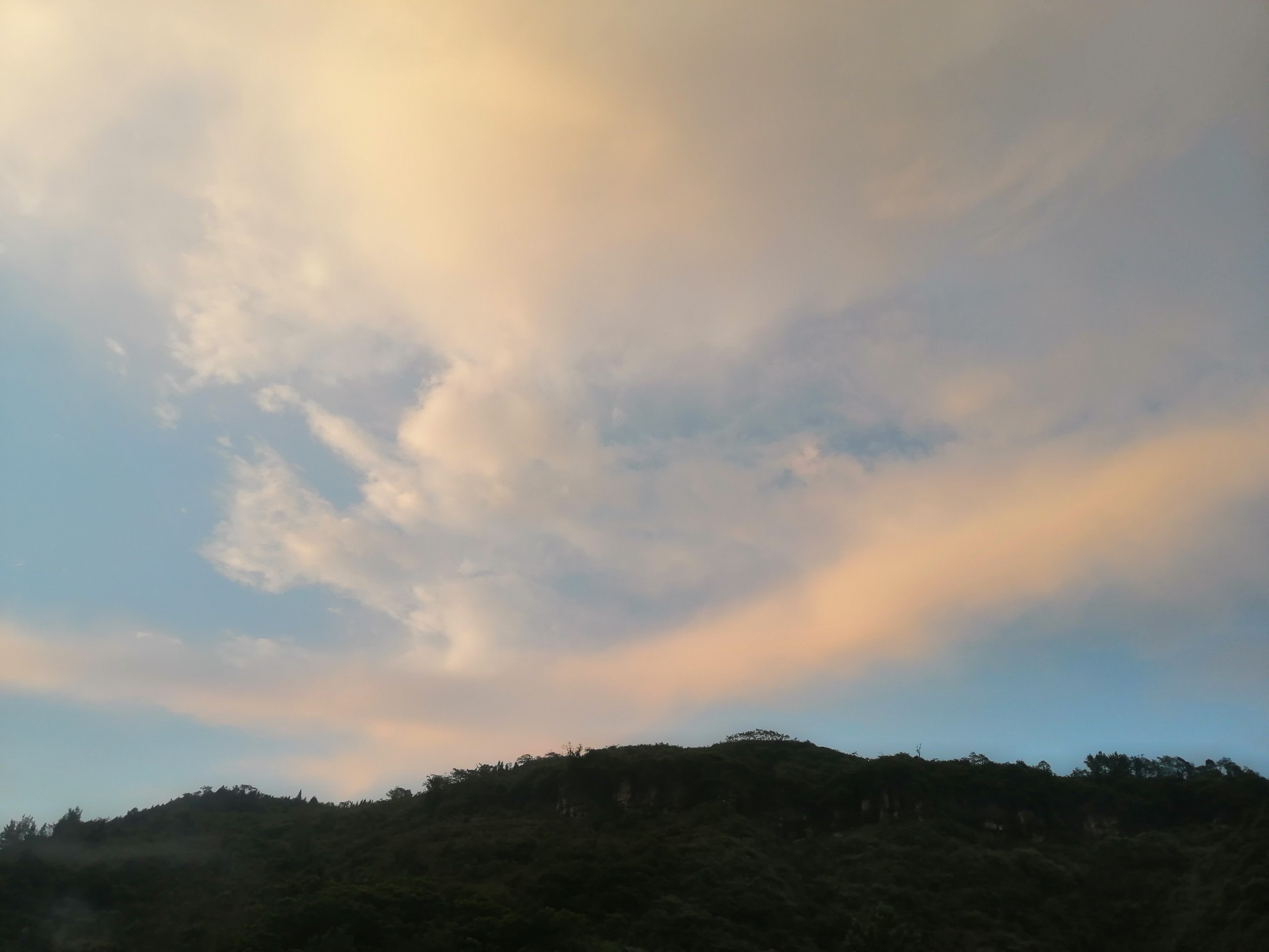 IMG_20210514_193258.jpg
