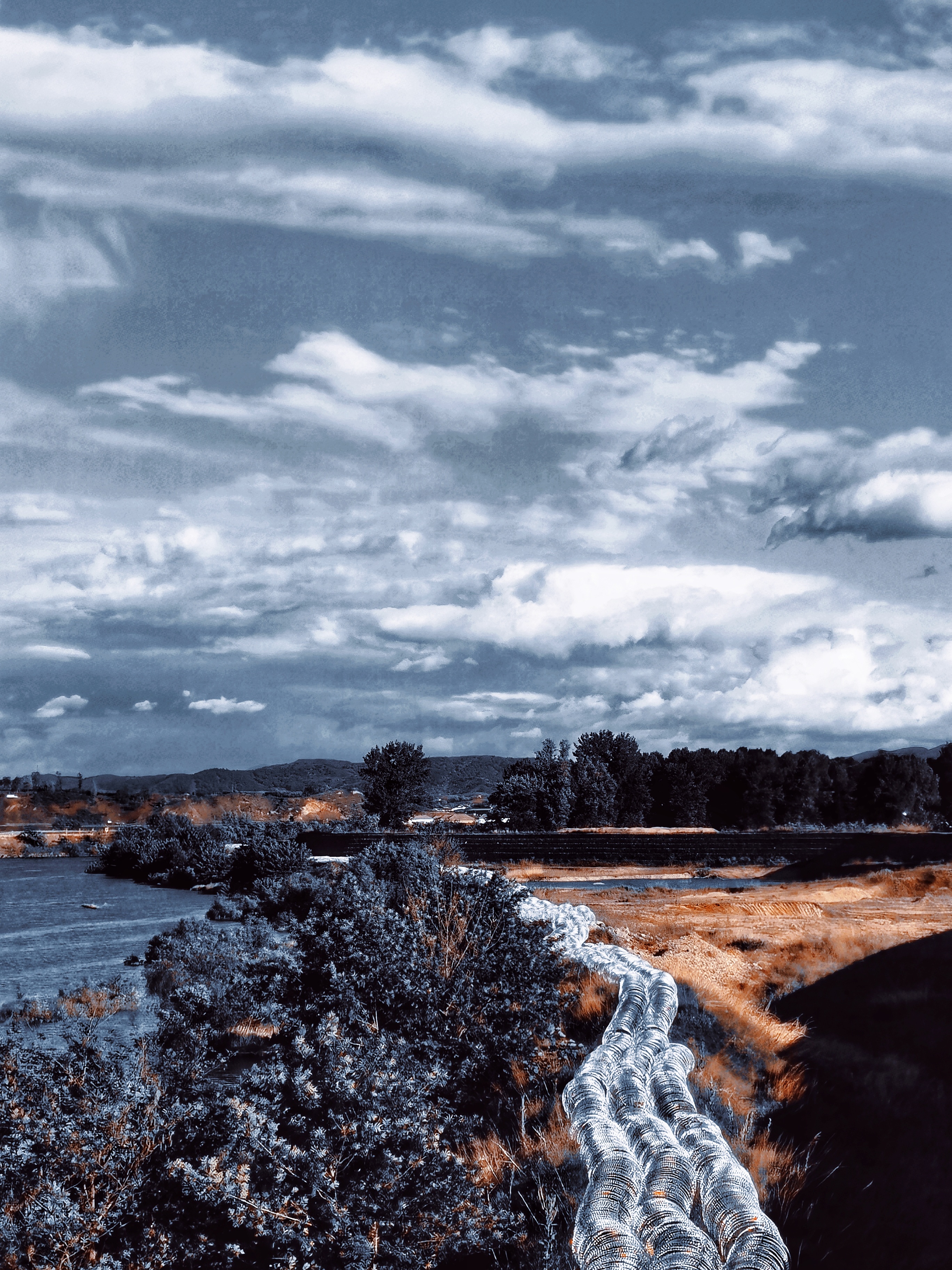 retouch_2021053123525175-01.jpeg