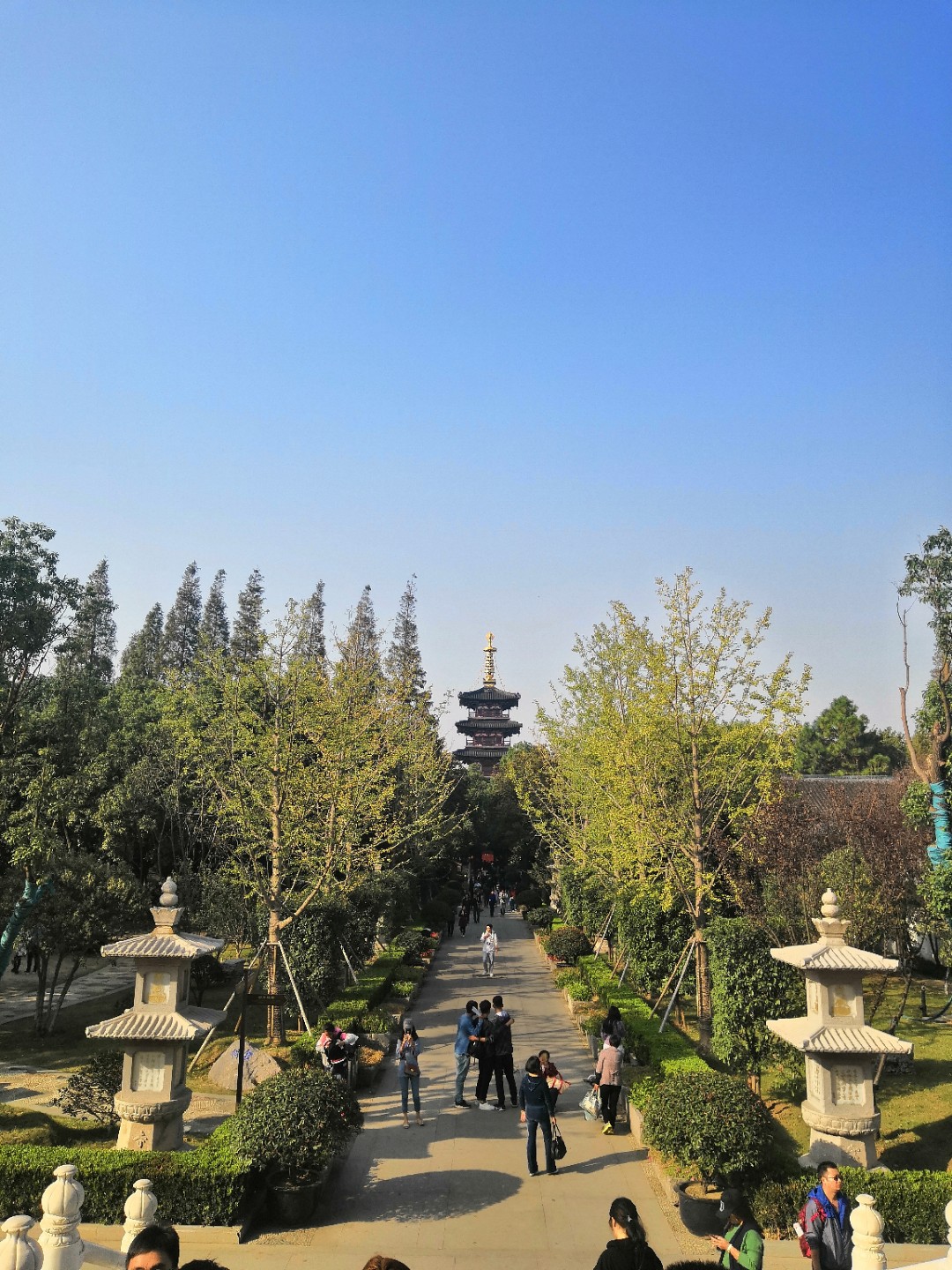 IMG_20181027_143522.jpg