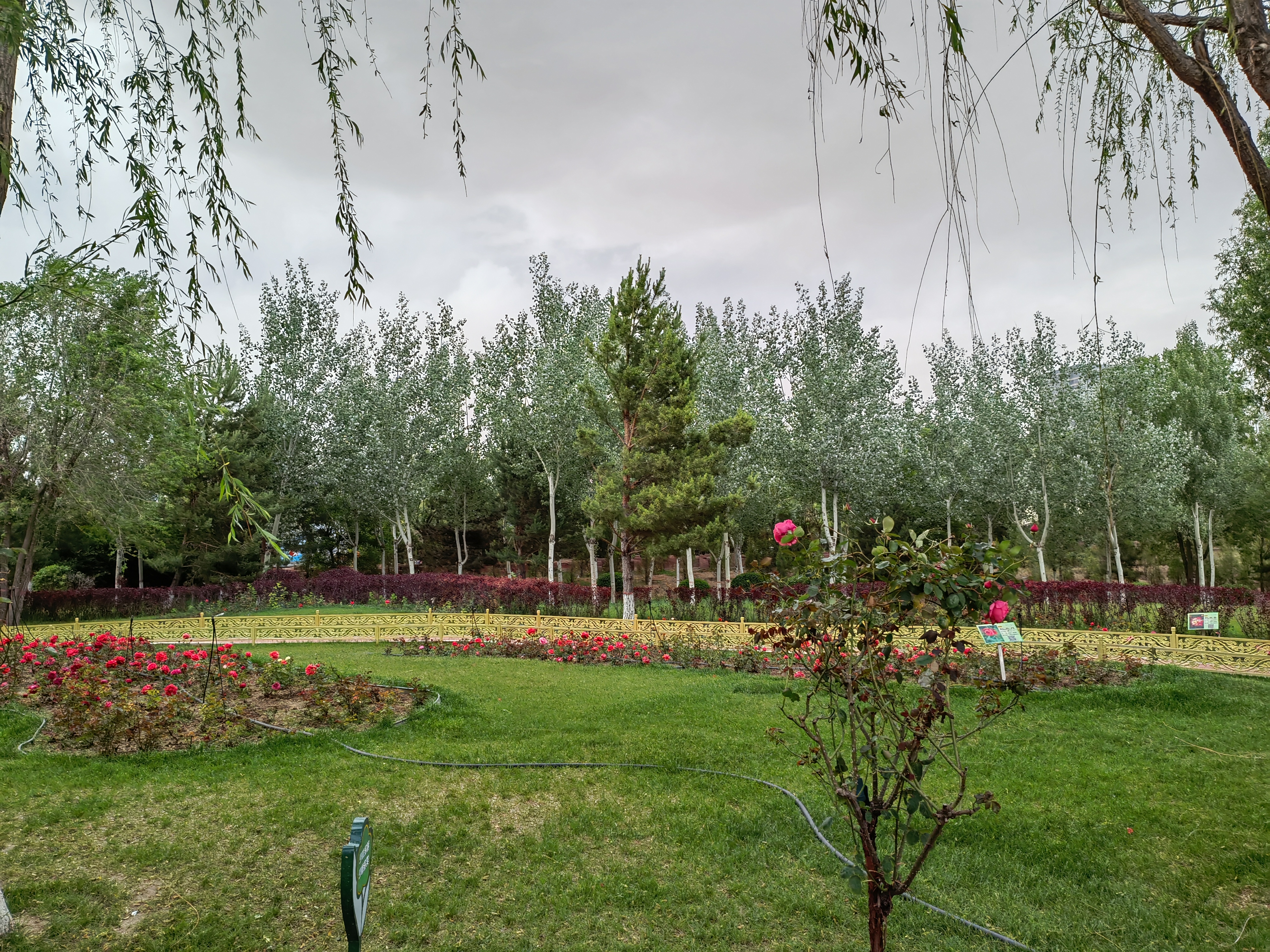 IMG_20210601_150018.jpg