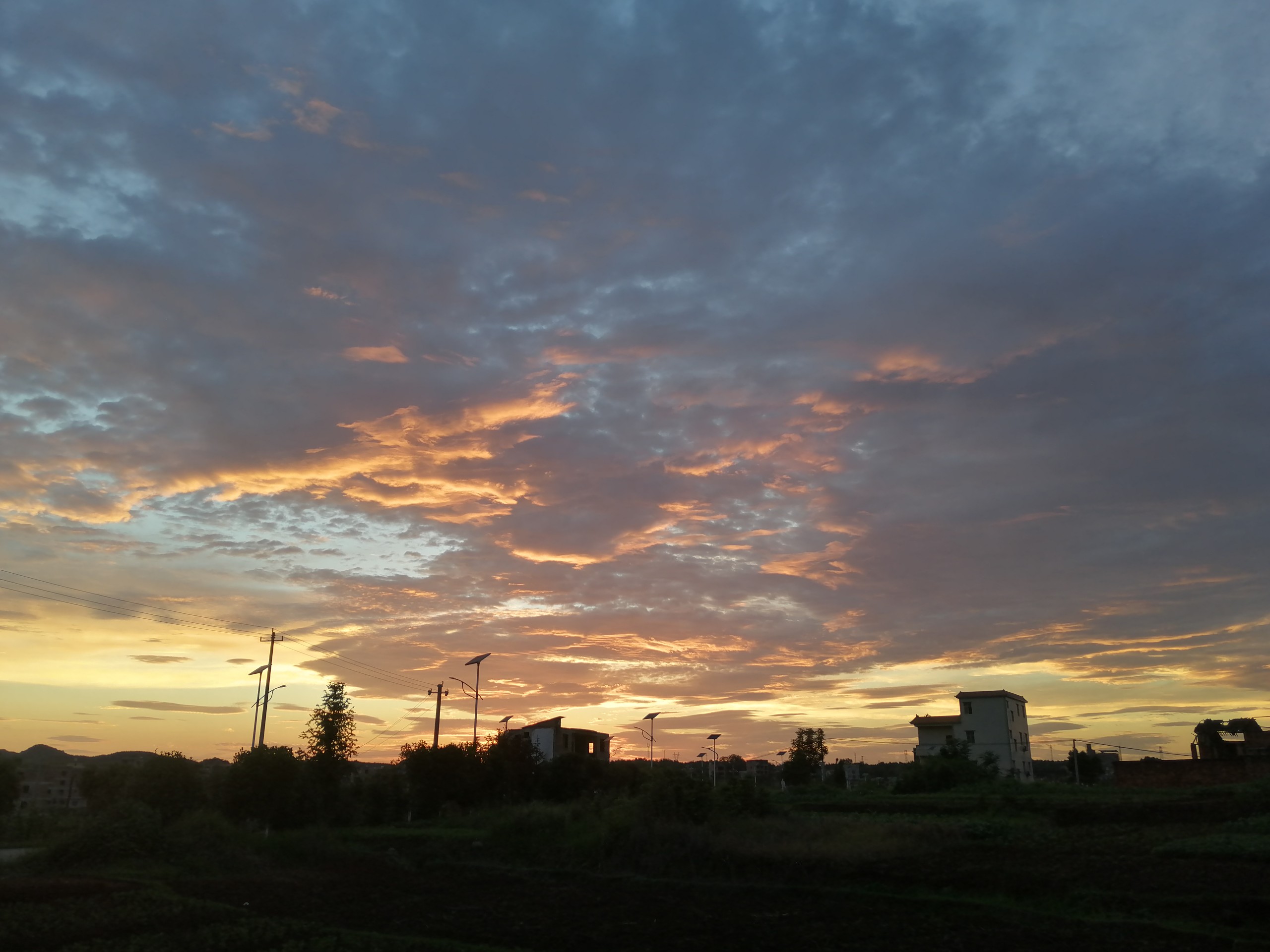 IMG_20210513_190933.jpg