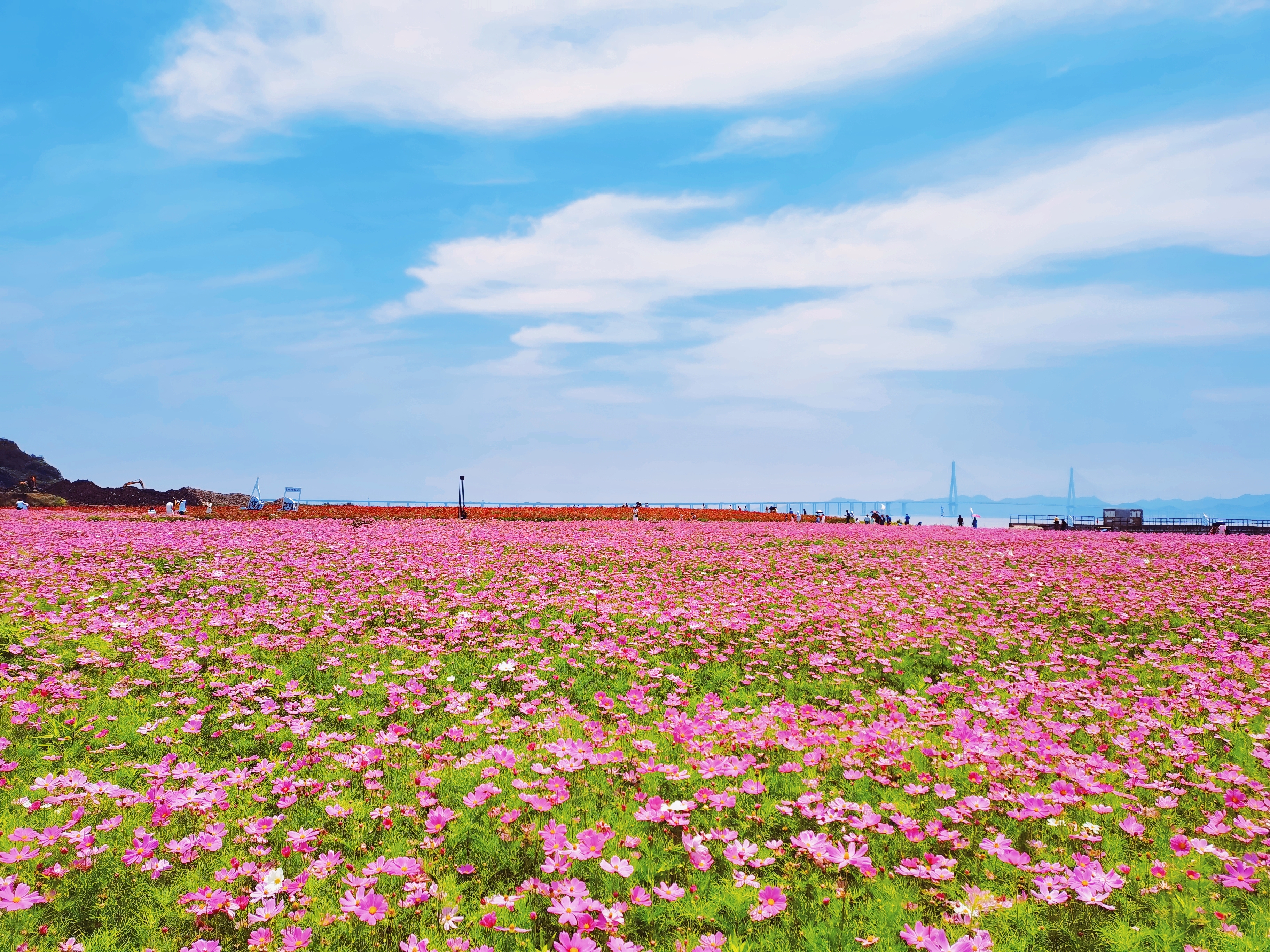 retouch_2021053001182249.jpg