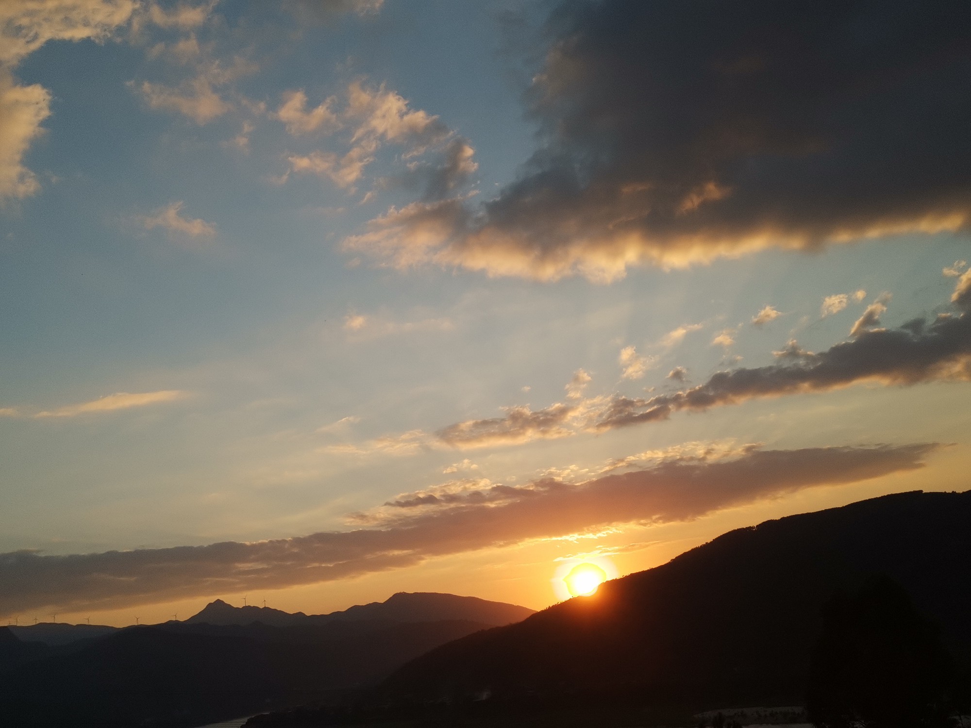 IMG_20201003_173509.jpg