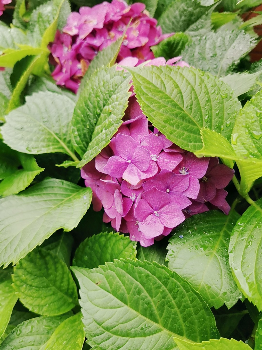 Wuta_20210602_081556.jpg