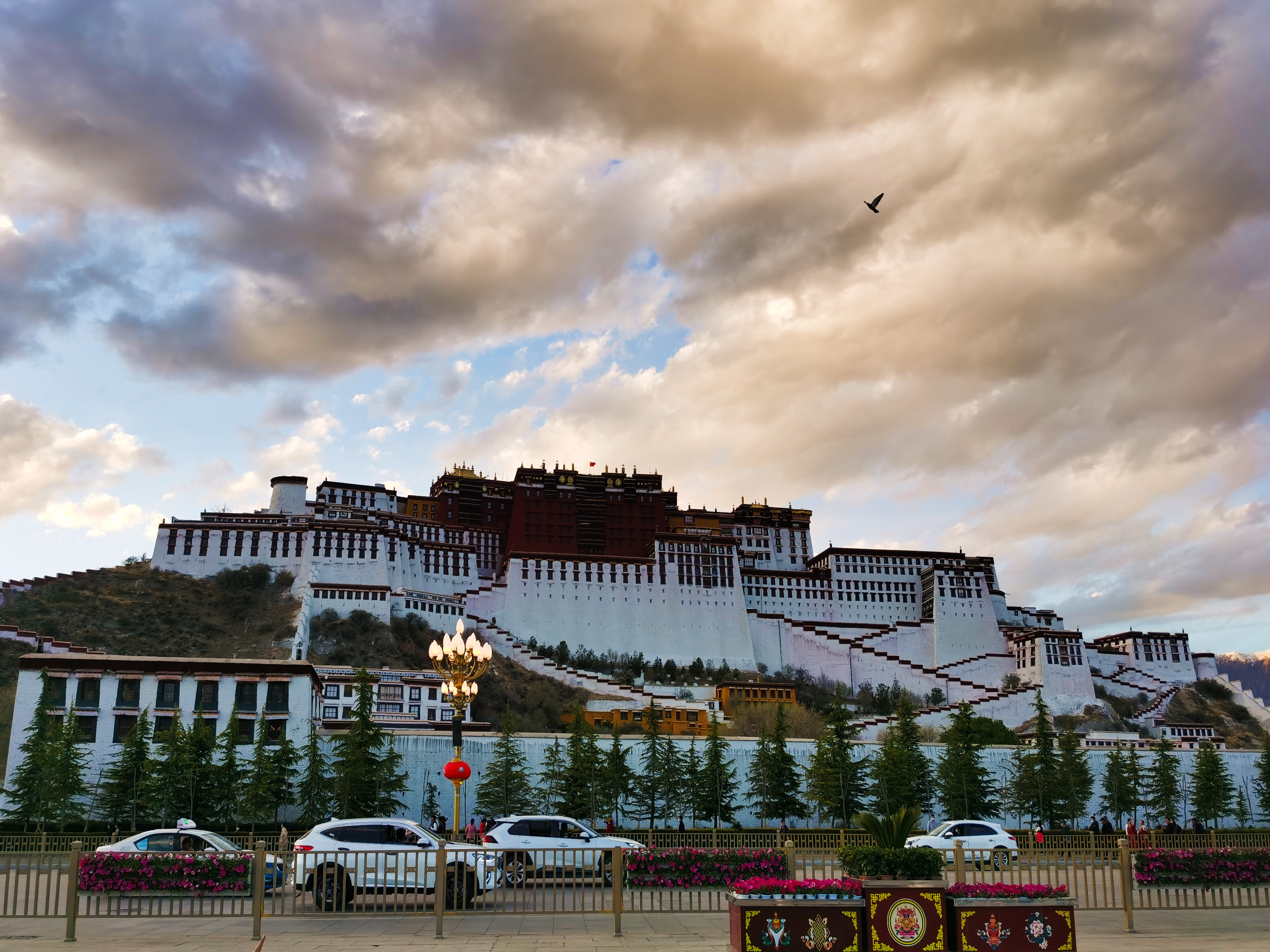 IMG_20210516_202954_polarr.jpg