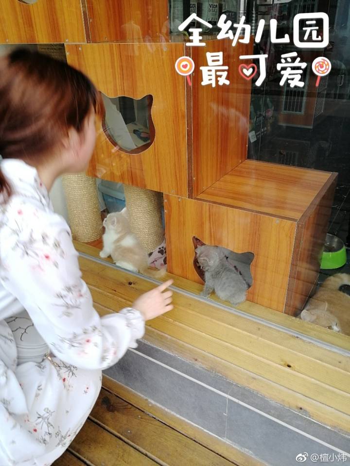 img-48cdbe2db7698687b1cdedb67274bfa8.jpg