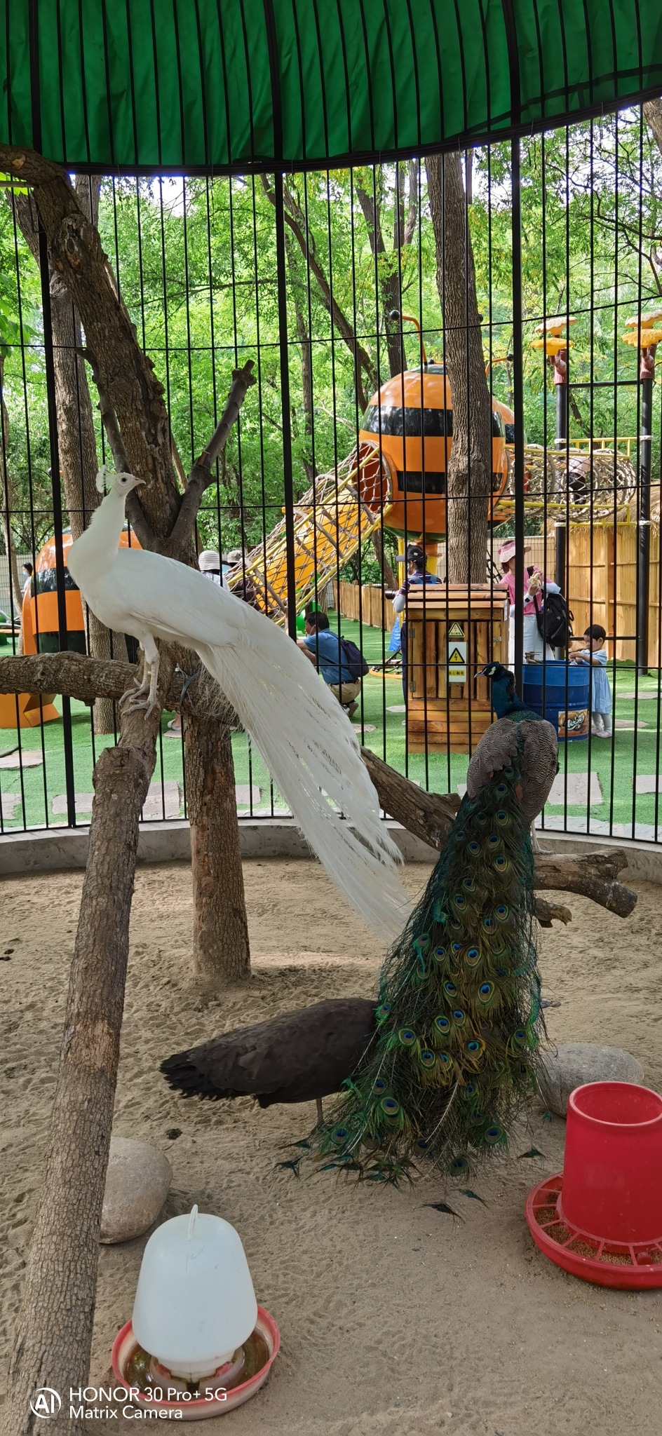 IMG_20210601_162251.jpg