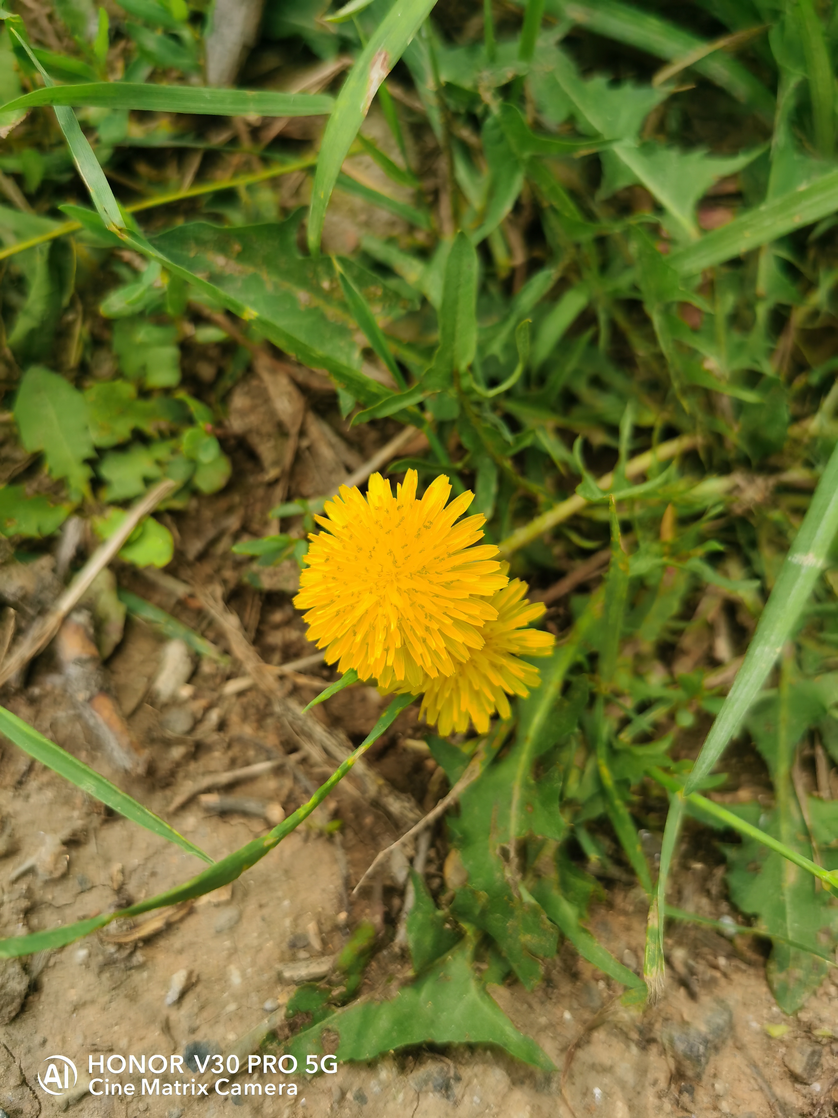 IMG_20210530_101822.jpg