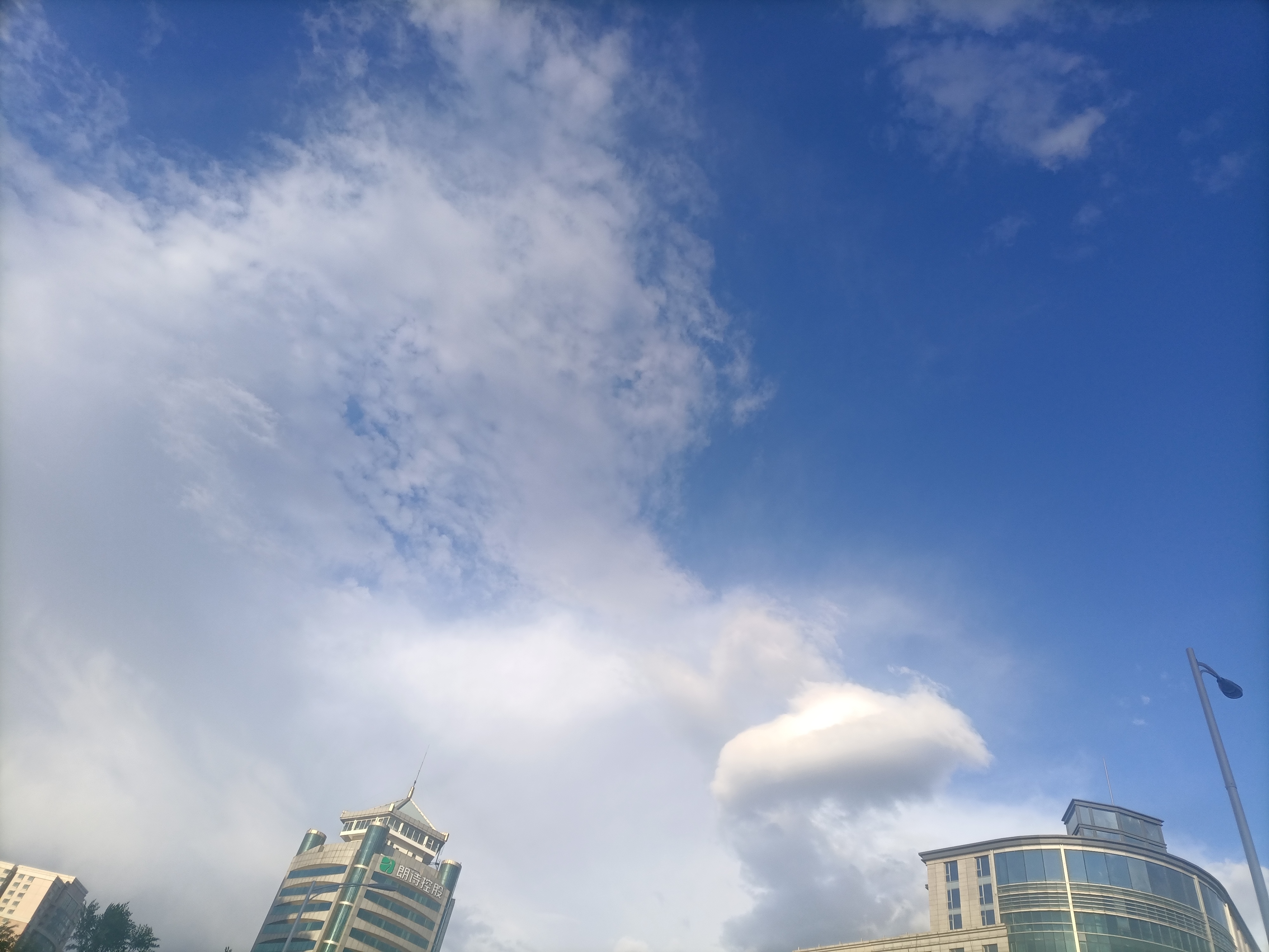 IMG_20210526_183704.jpg
