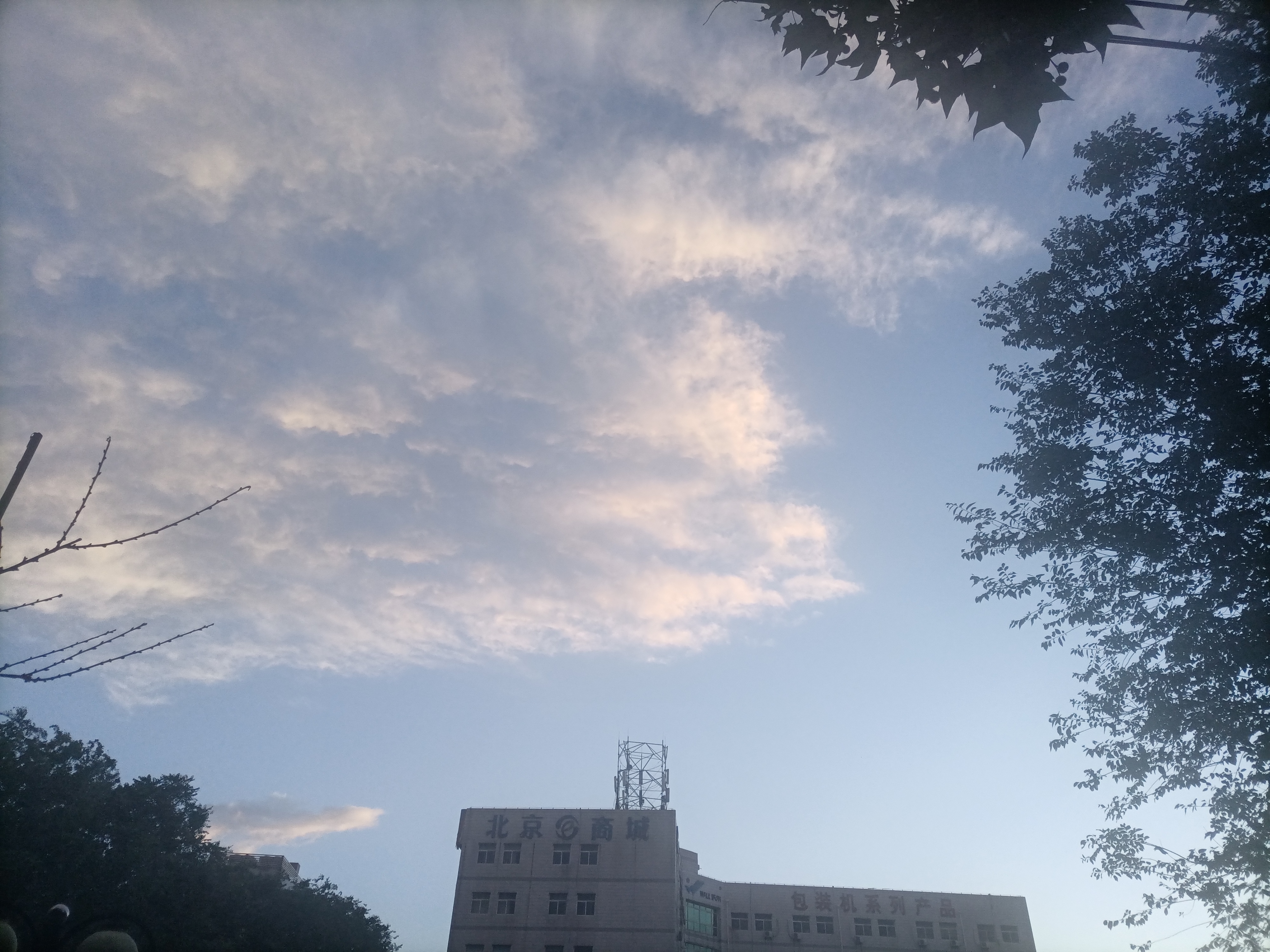 IMG_20210524_191707.jpg