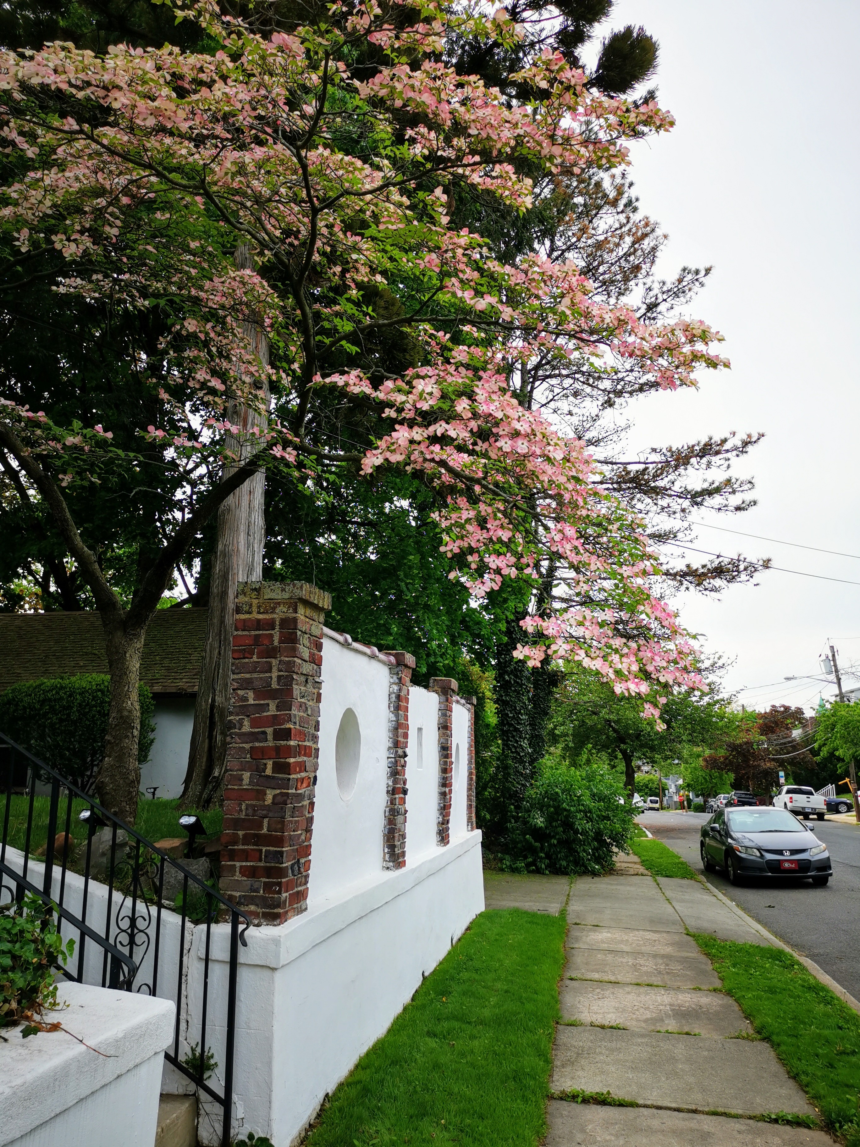 IMG_20210507_170921.jpg