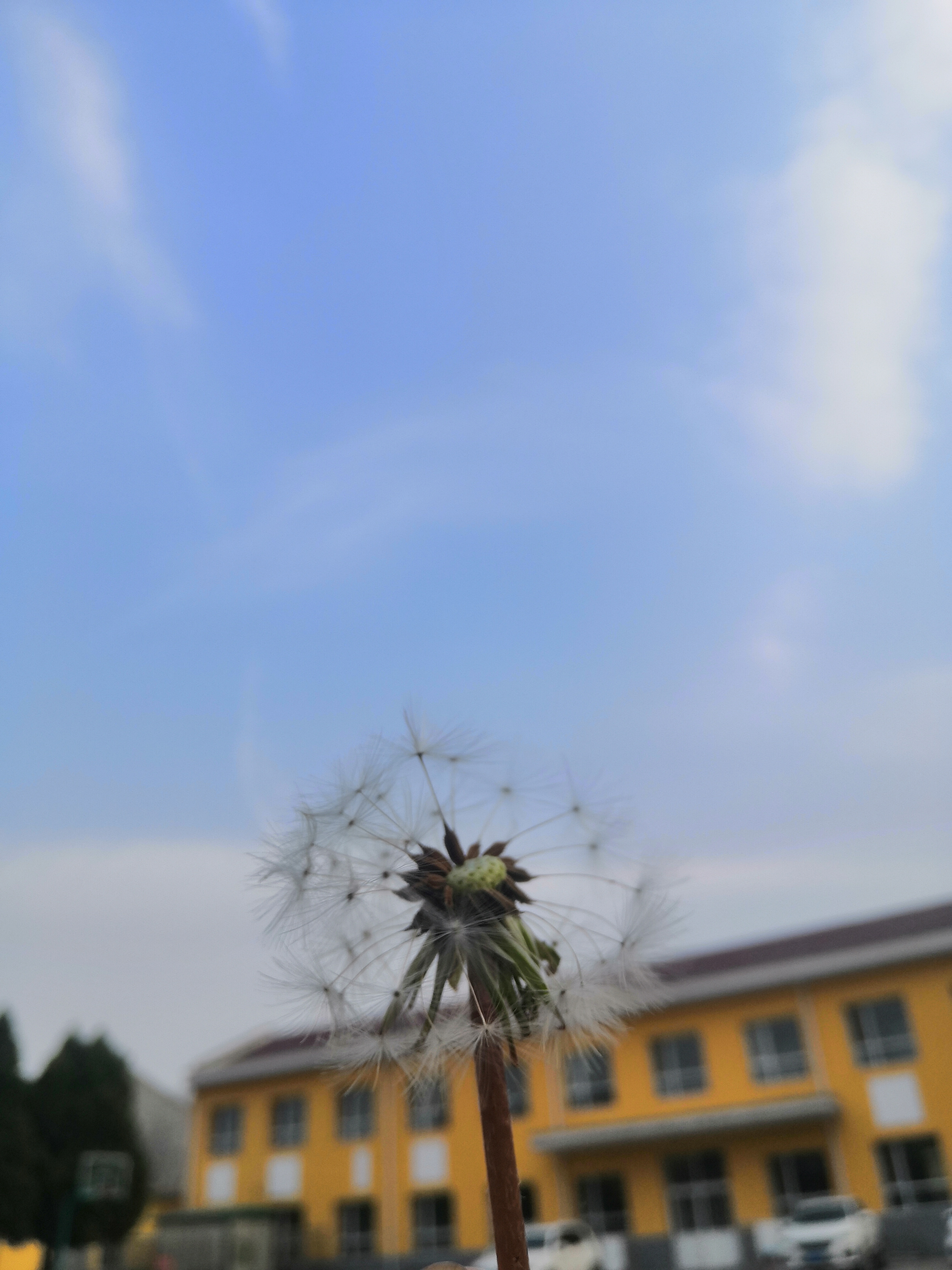 IMG_20210407_174921.jpg