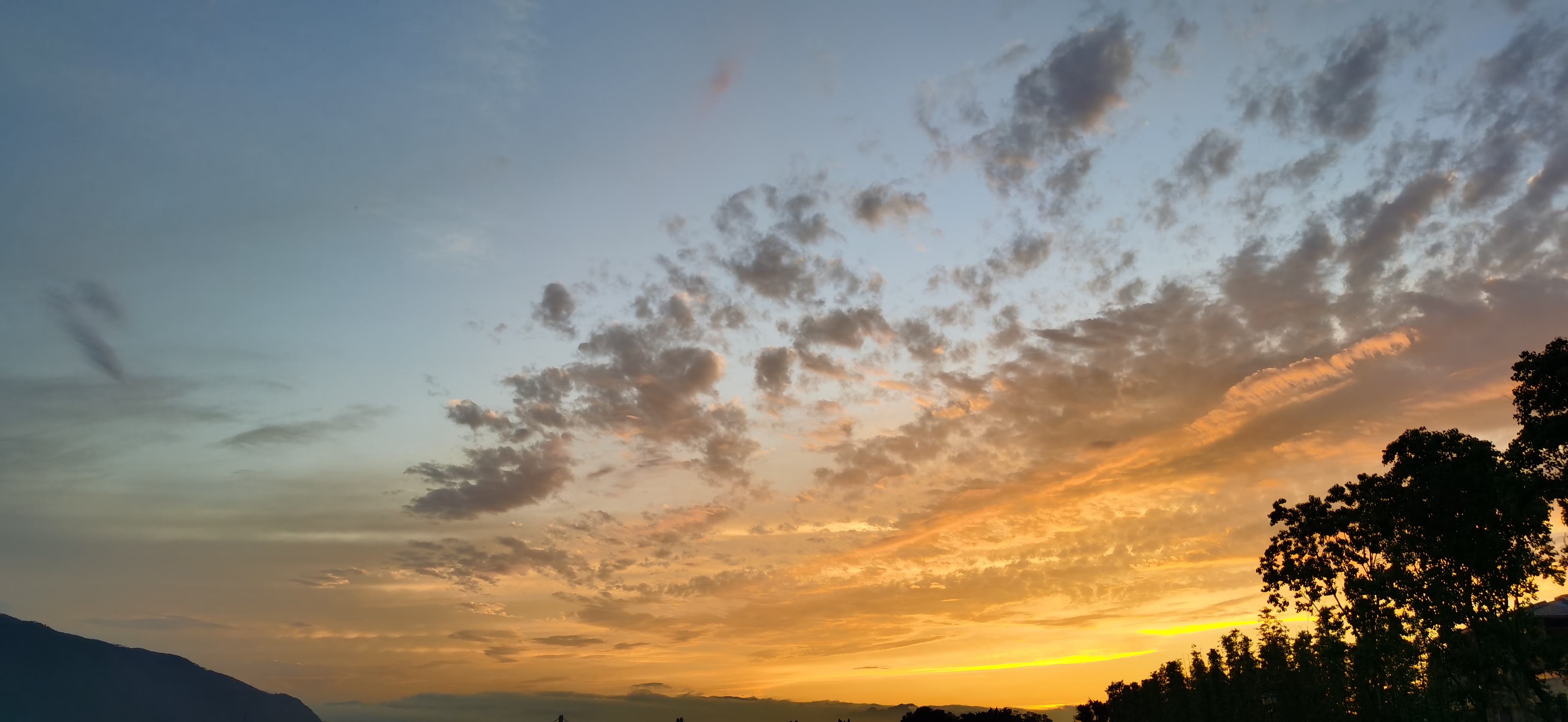 IMG_20210508_183557.jpg