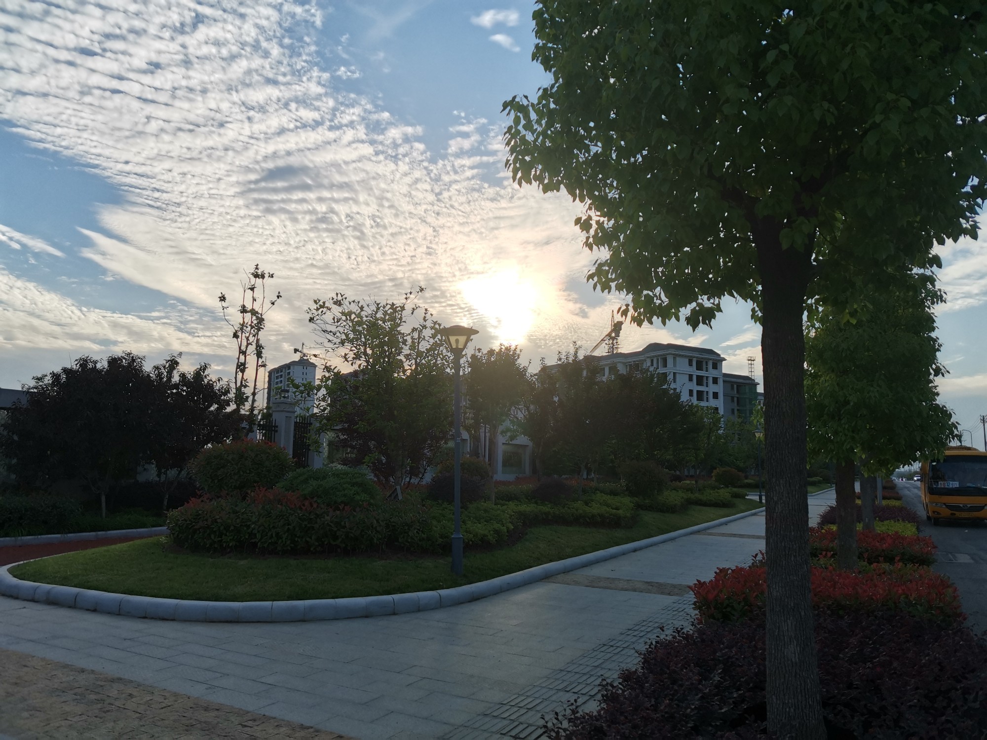 IMG_20210522_181422.jpg