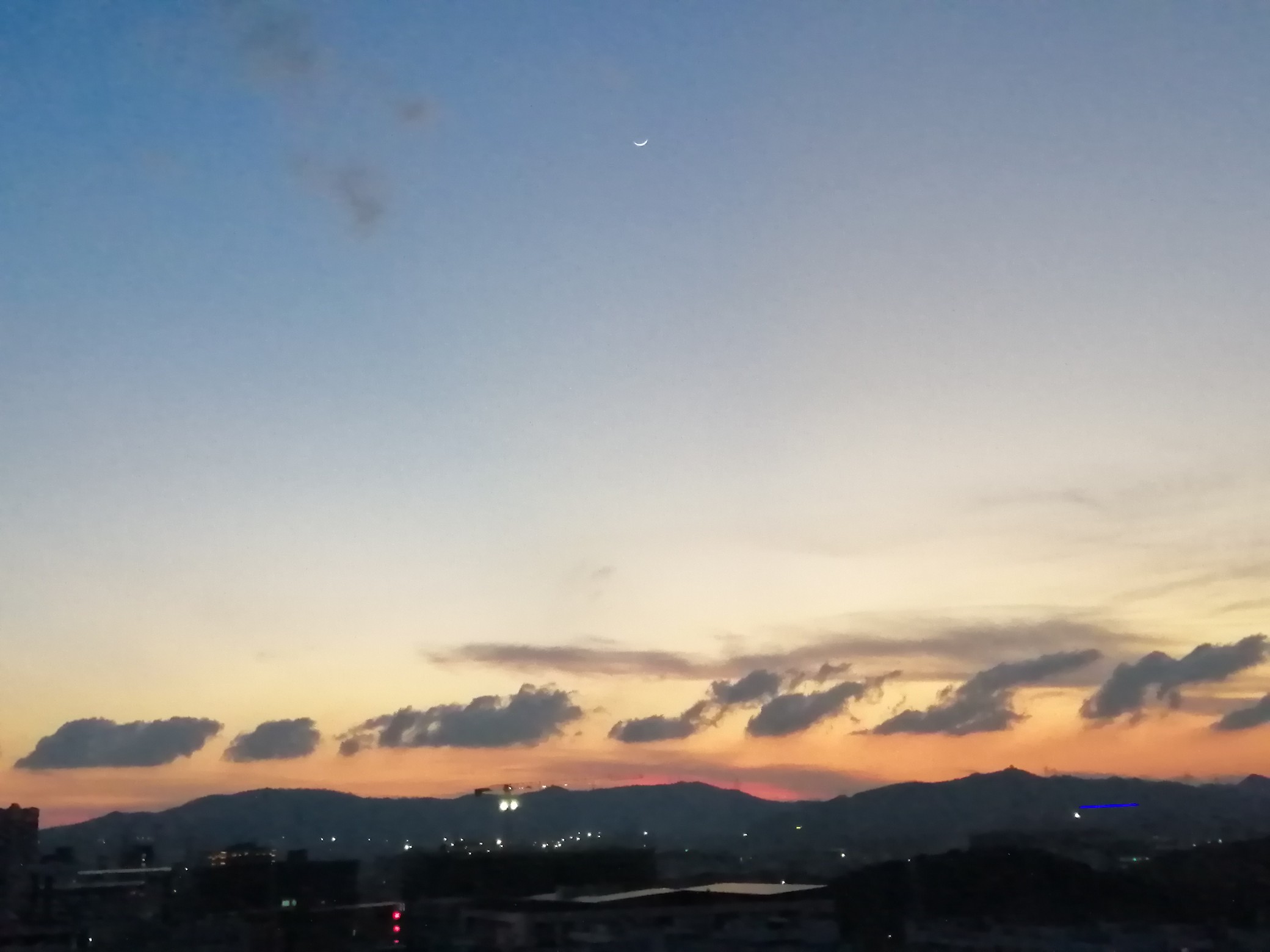 IMG_20210514_191449.jpg