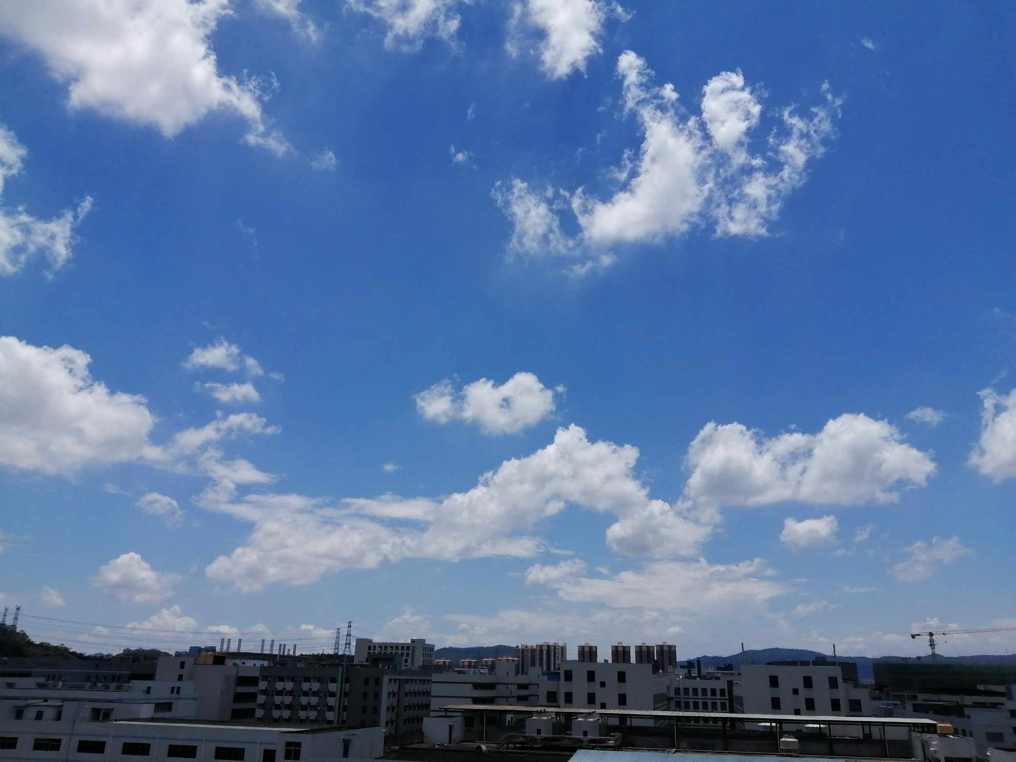 IMG_20210519_123147.jpg