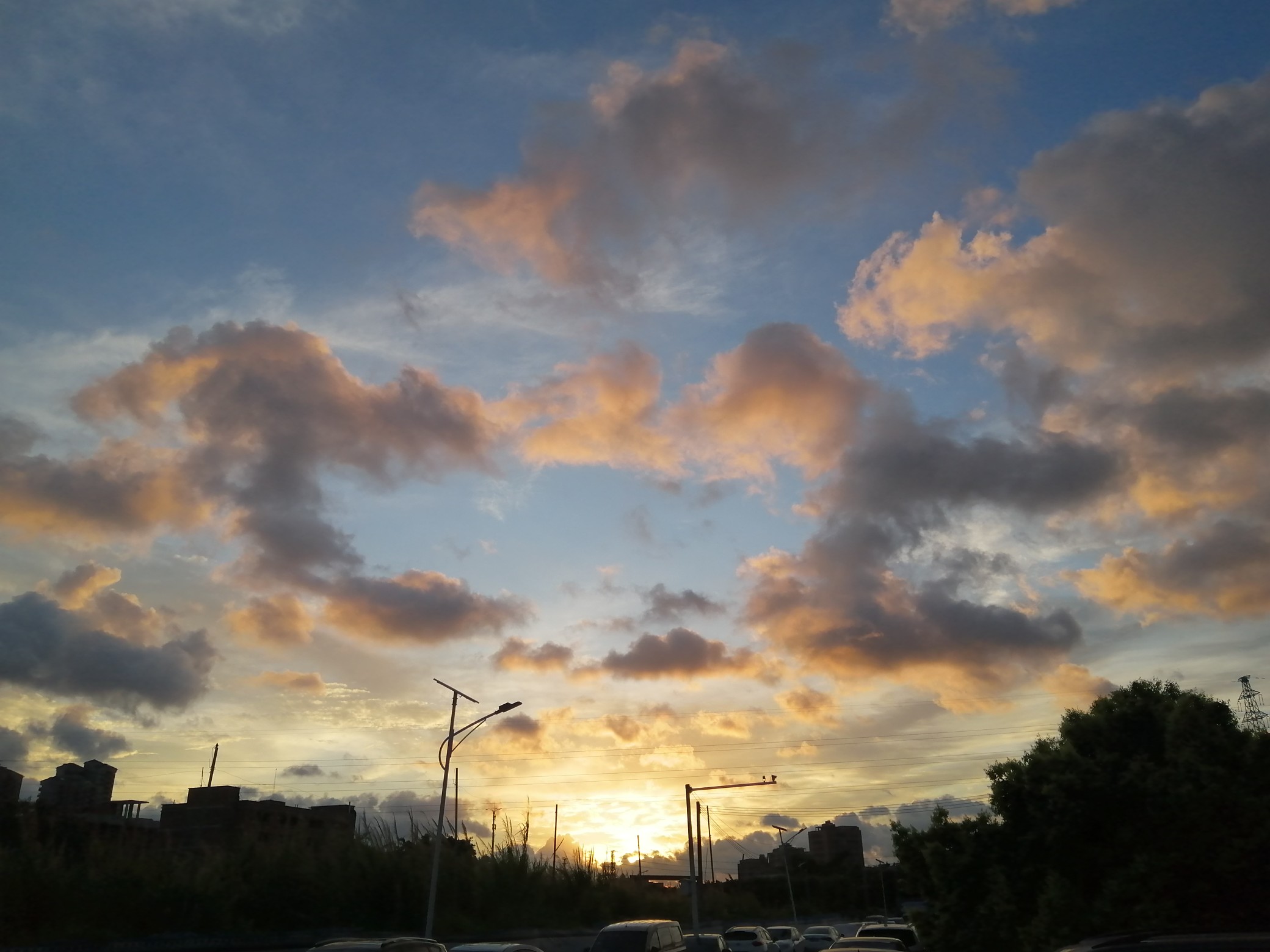 IMG_20210521_055225.jpg