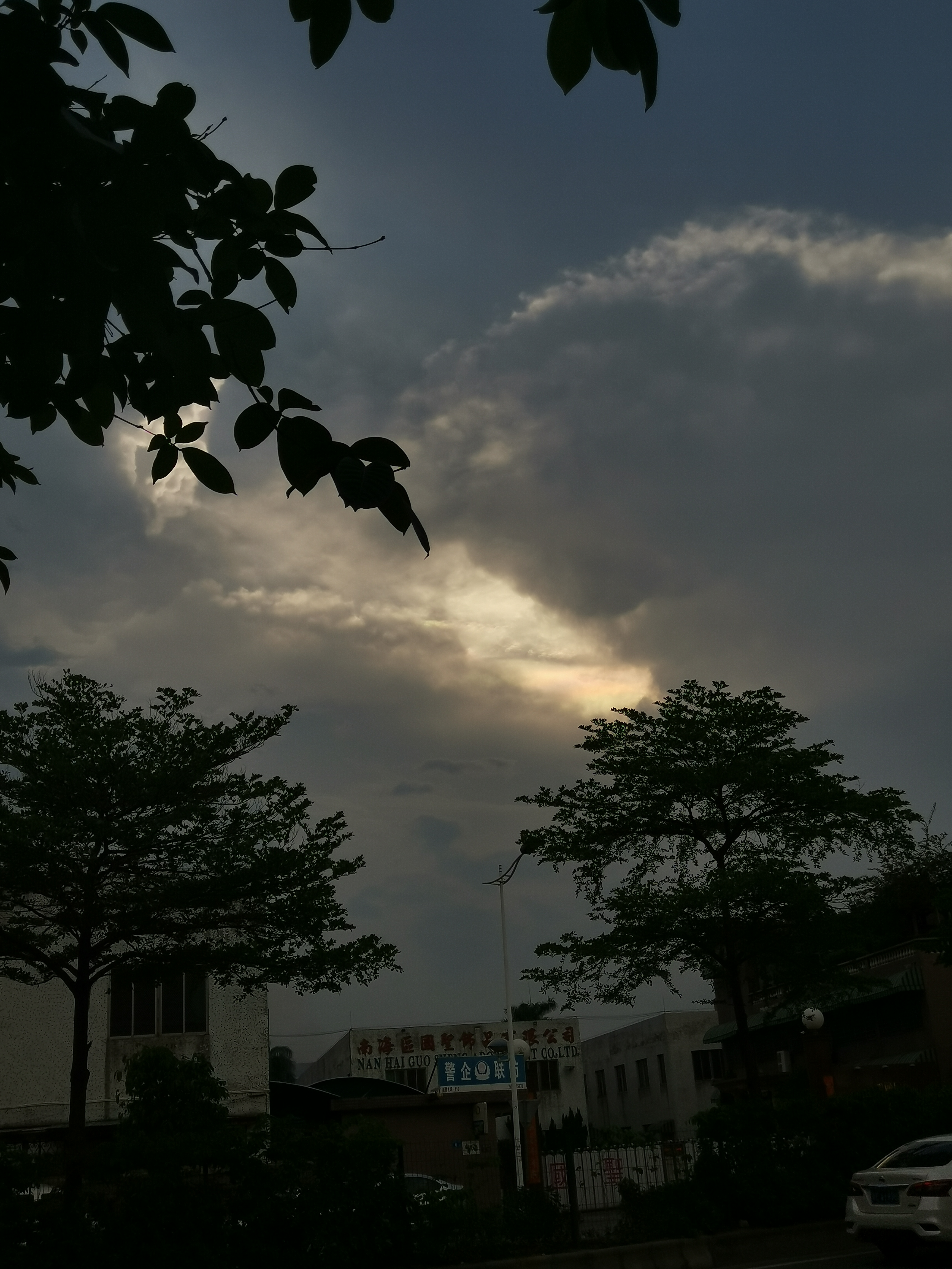 IMG_20210530_182221.jpg