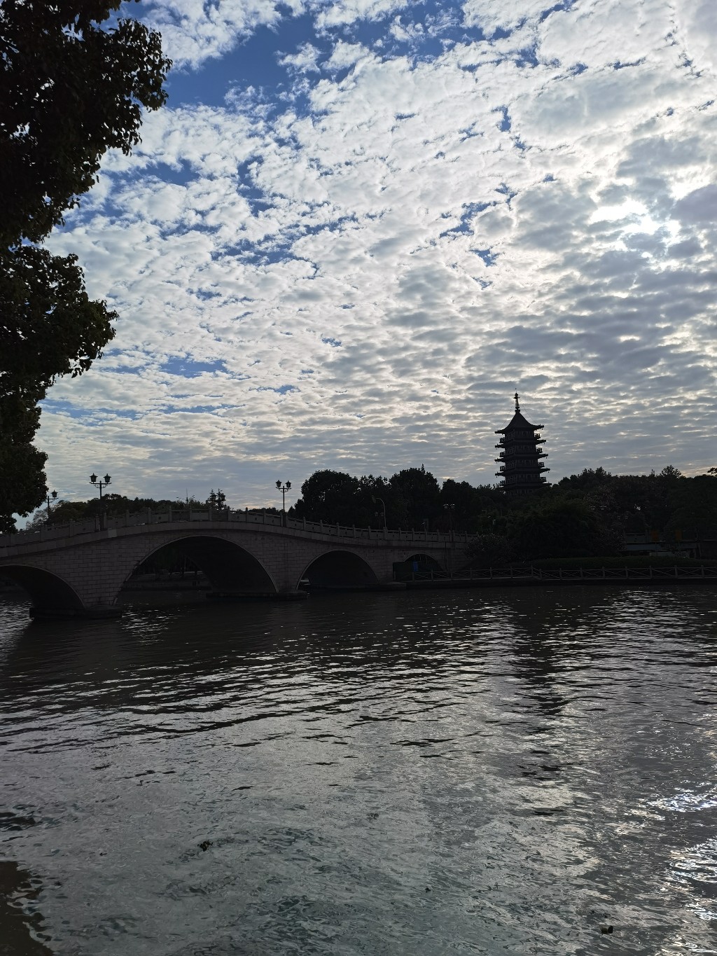 IMG_20201105_081012.jpg