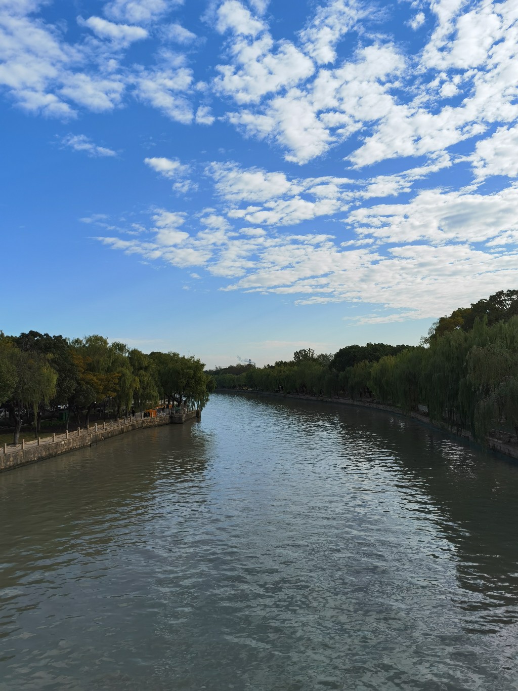 IMG_20201105_081207.jpg
